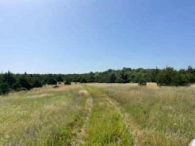 000 Us Highway 65 Property Photo 10