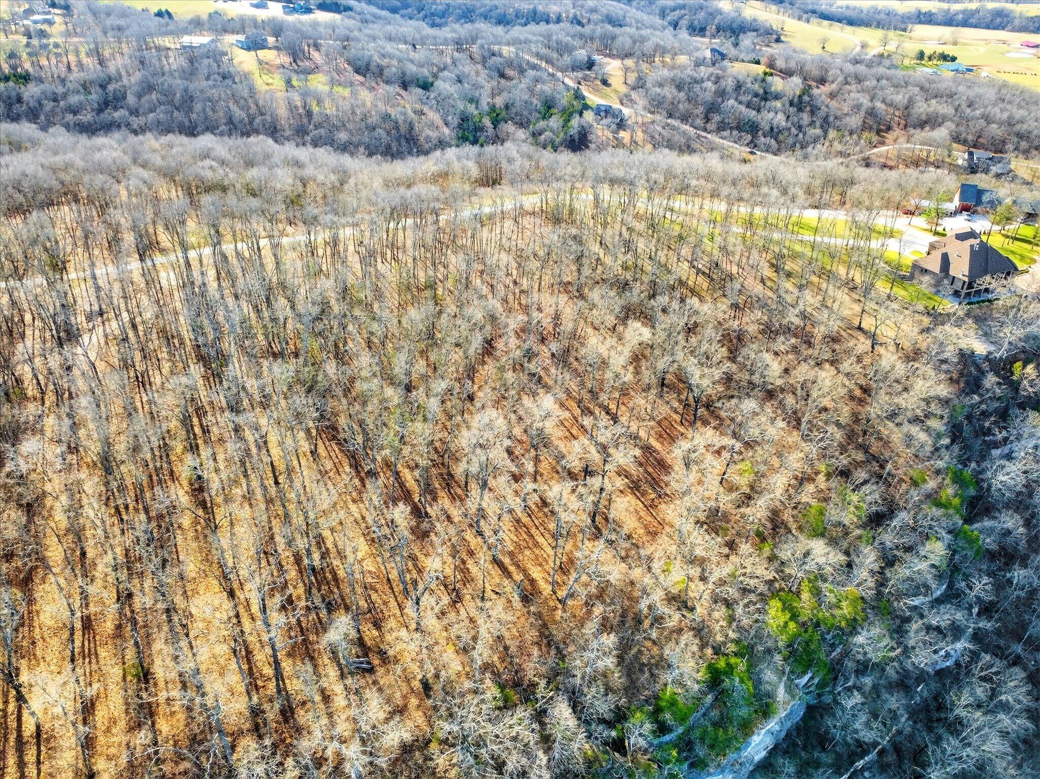 000 Regal Heights Lot 30 Property Photo 10
