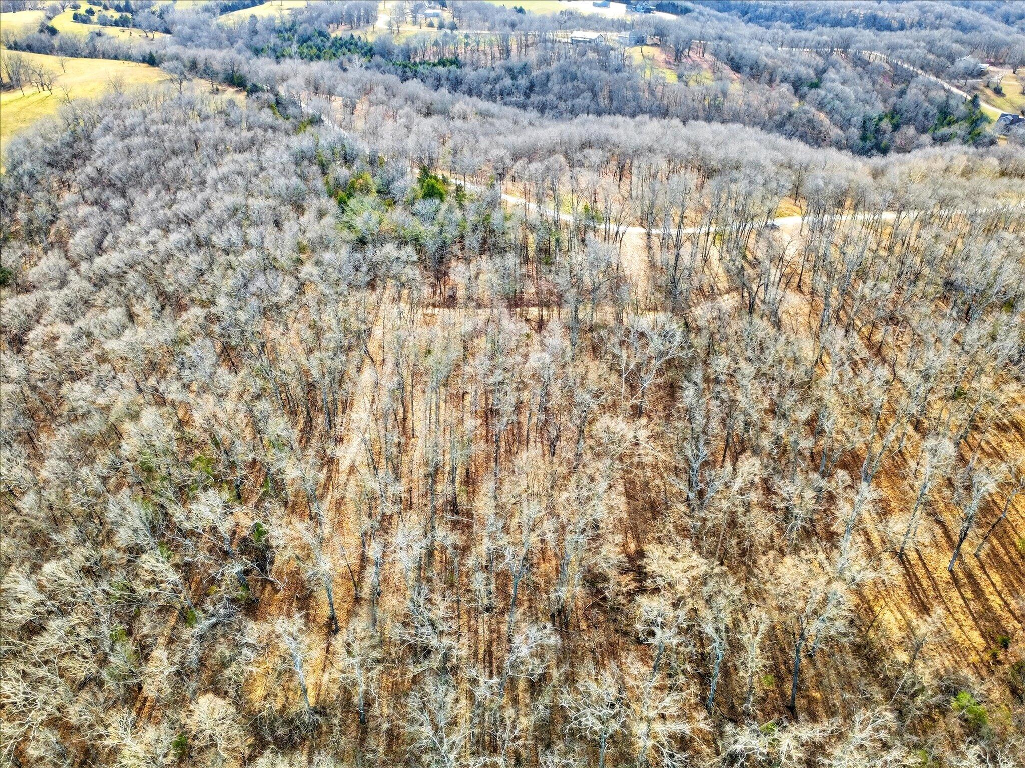 000 Regal Heights Lot 30 Property Photo 11