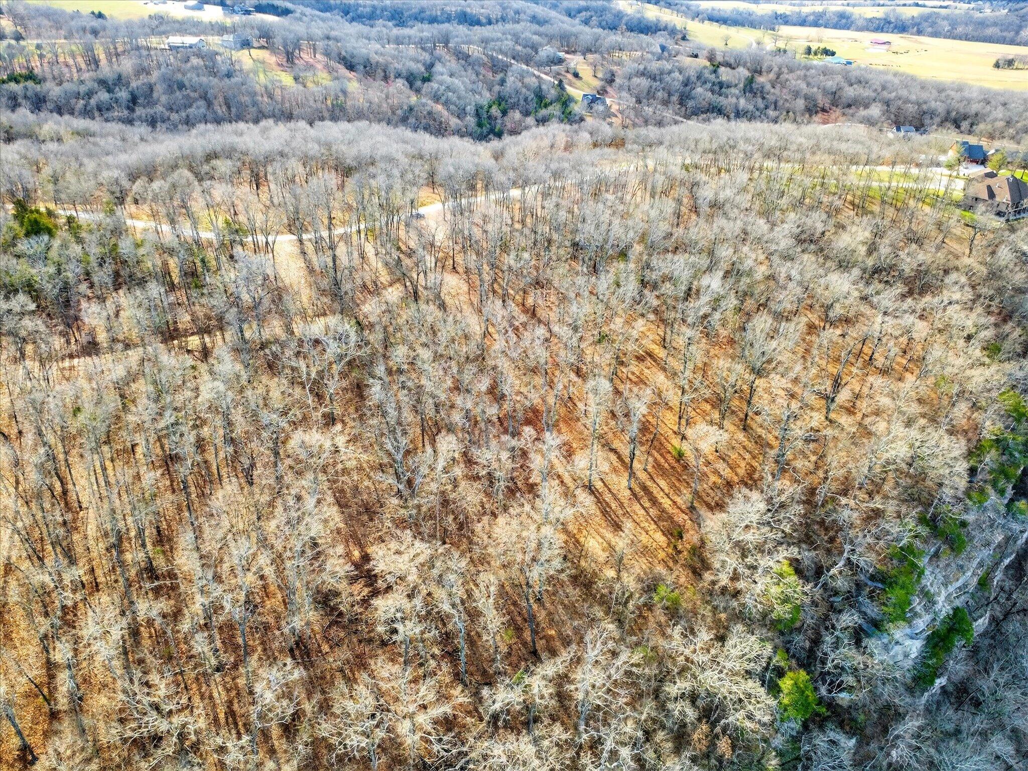 000 Regal Heights Lot 30 Property Photo 14
