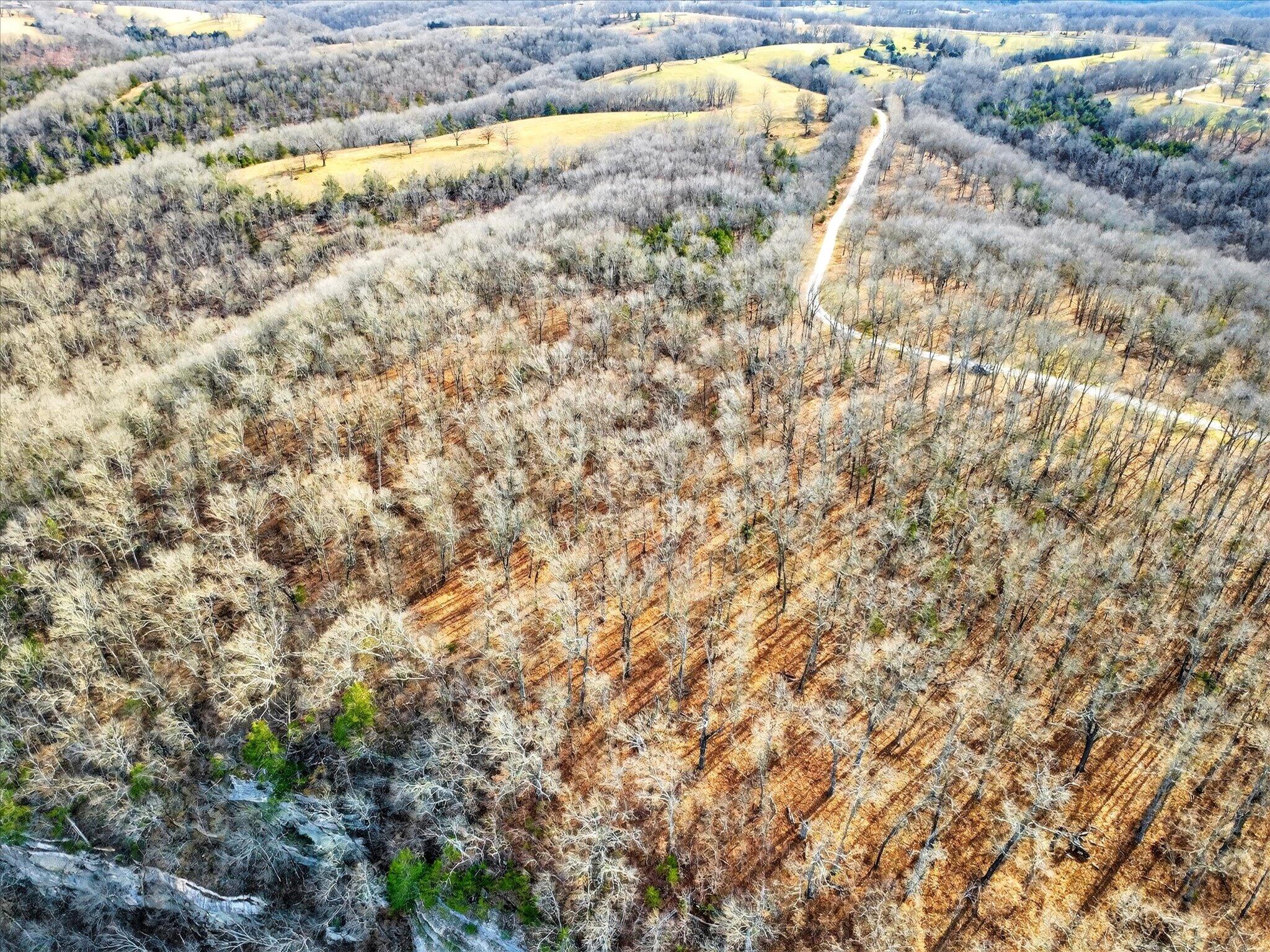 000 Regal Heights Lot 29 Property Photo 12