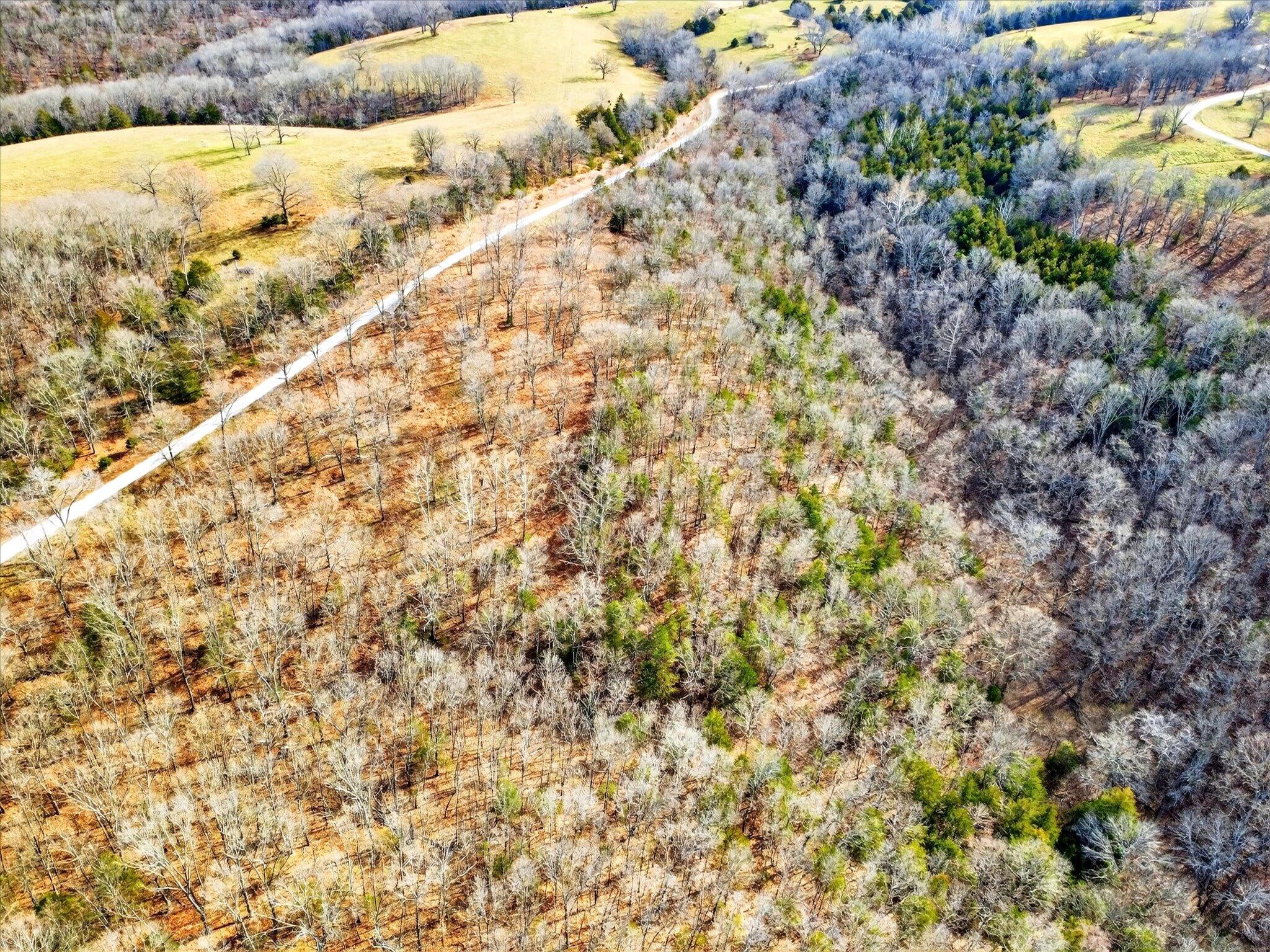 000 Regal Heights Lot 35 Property Photo 10
