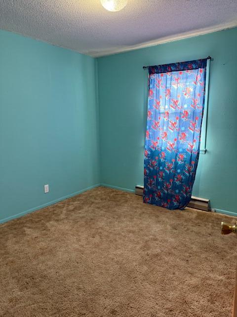 113 Beth Street Property Photo 5
