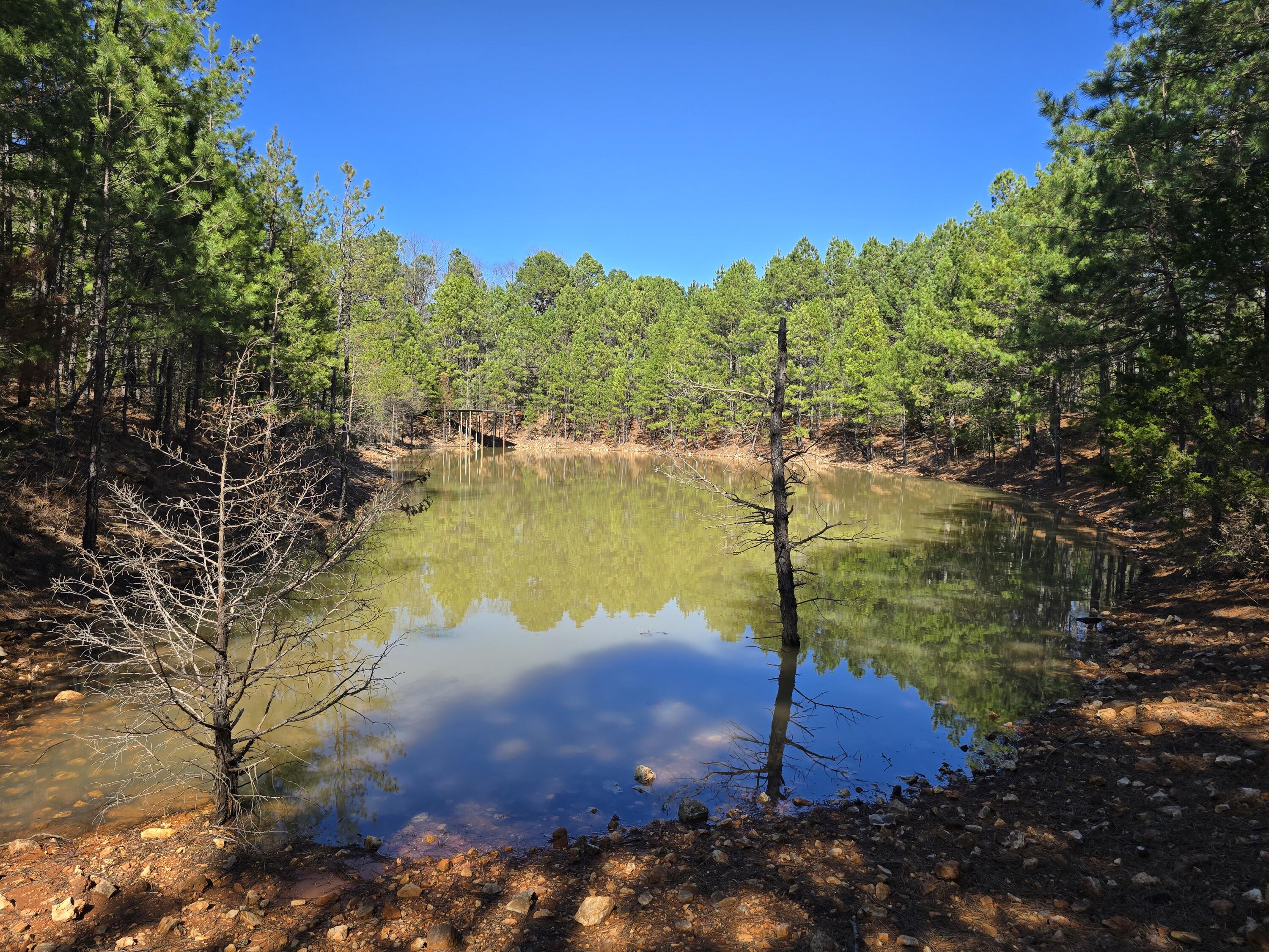 15306 Bucyrus Drive Property Photo 47