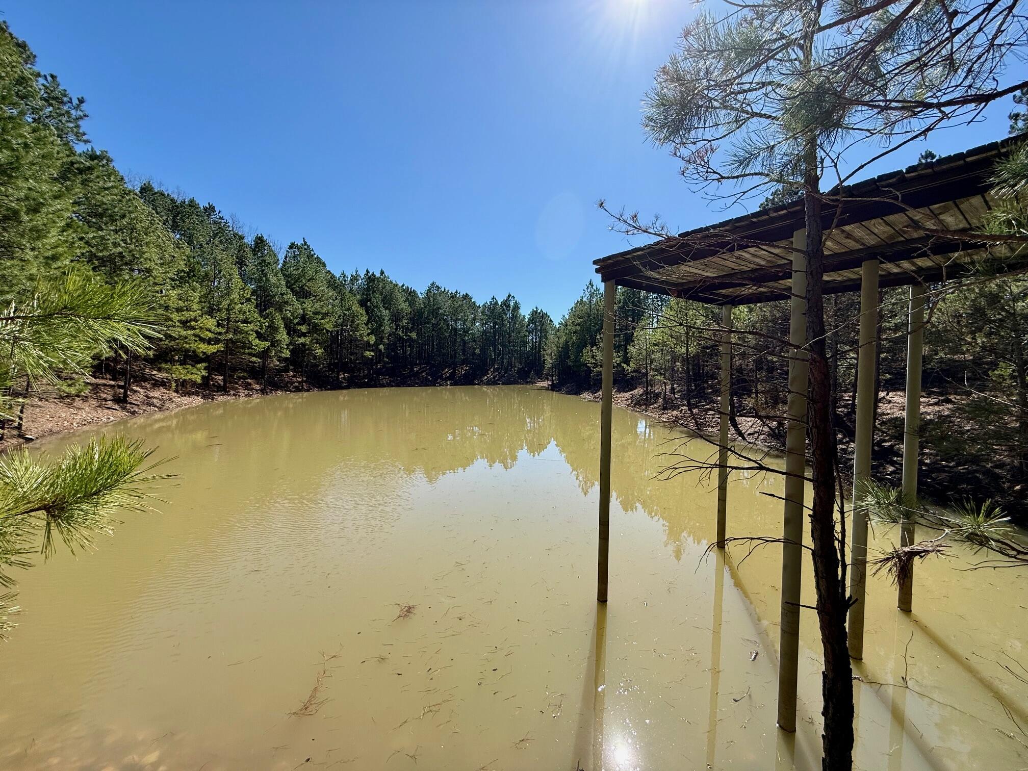 15306 Bucyrus Drive Property Photo 53