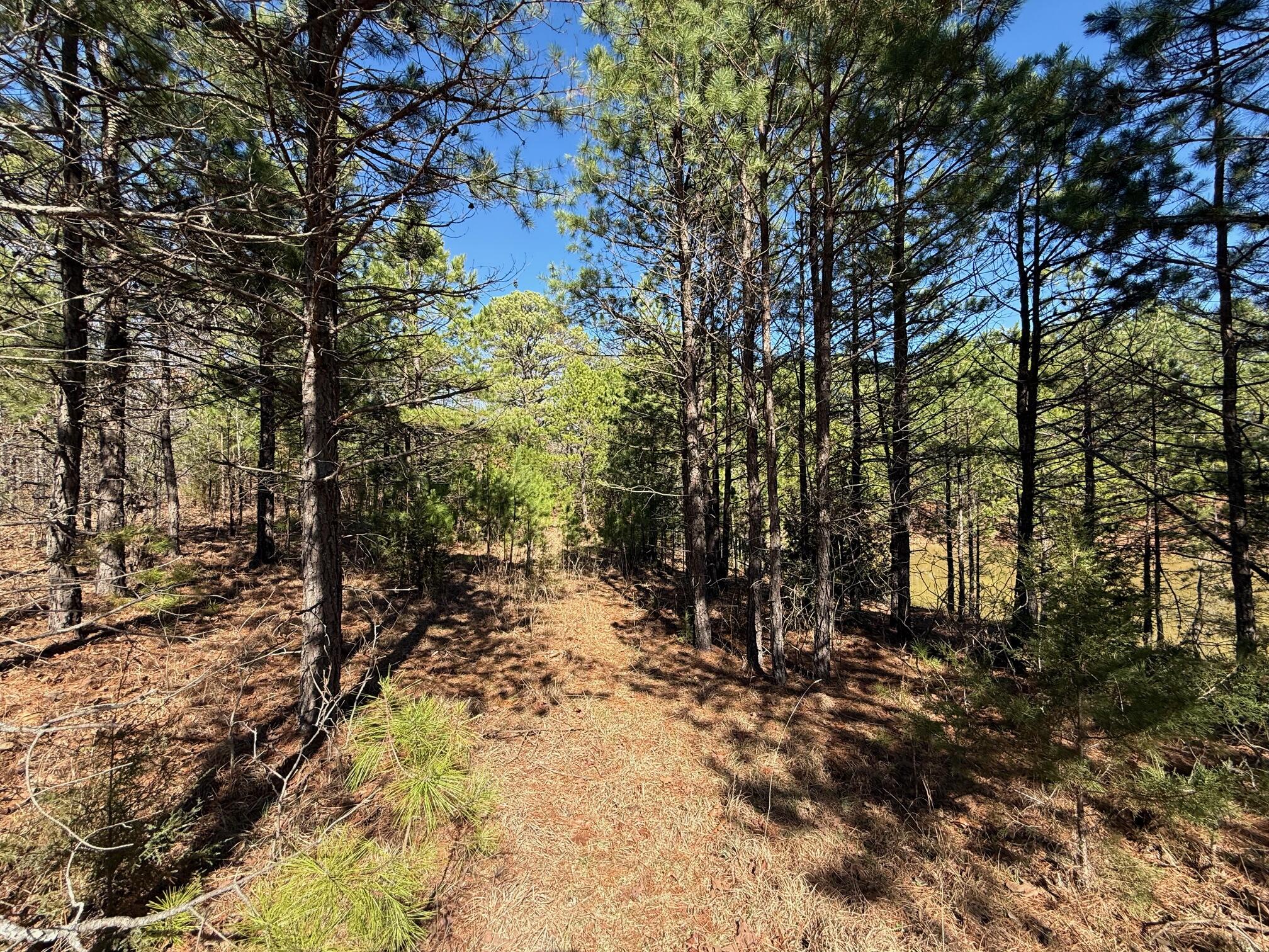 15306 Bucyrus Drive Property Photo 56