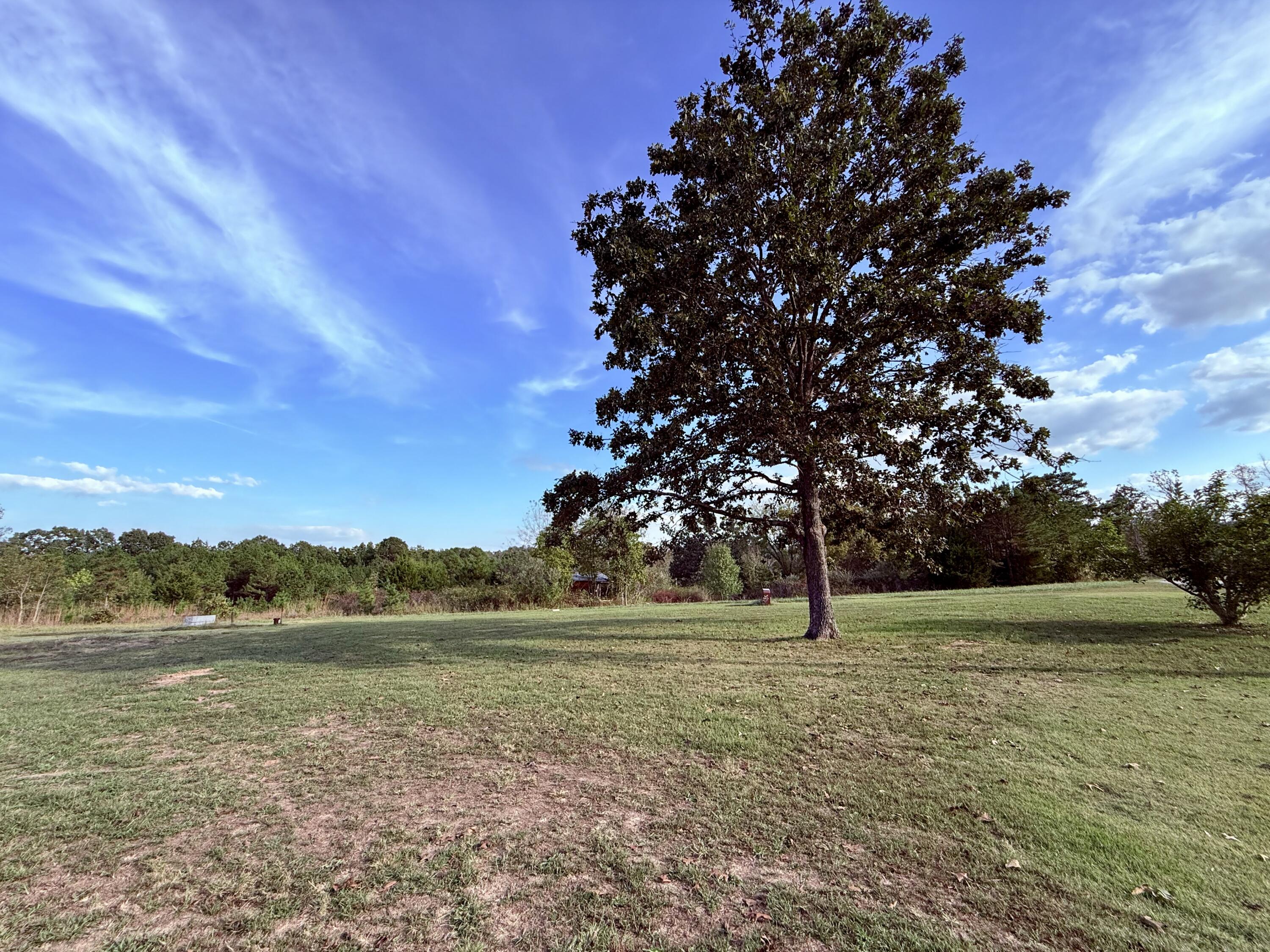 15306 Bucyrus Drive Property Photo 59