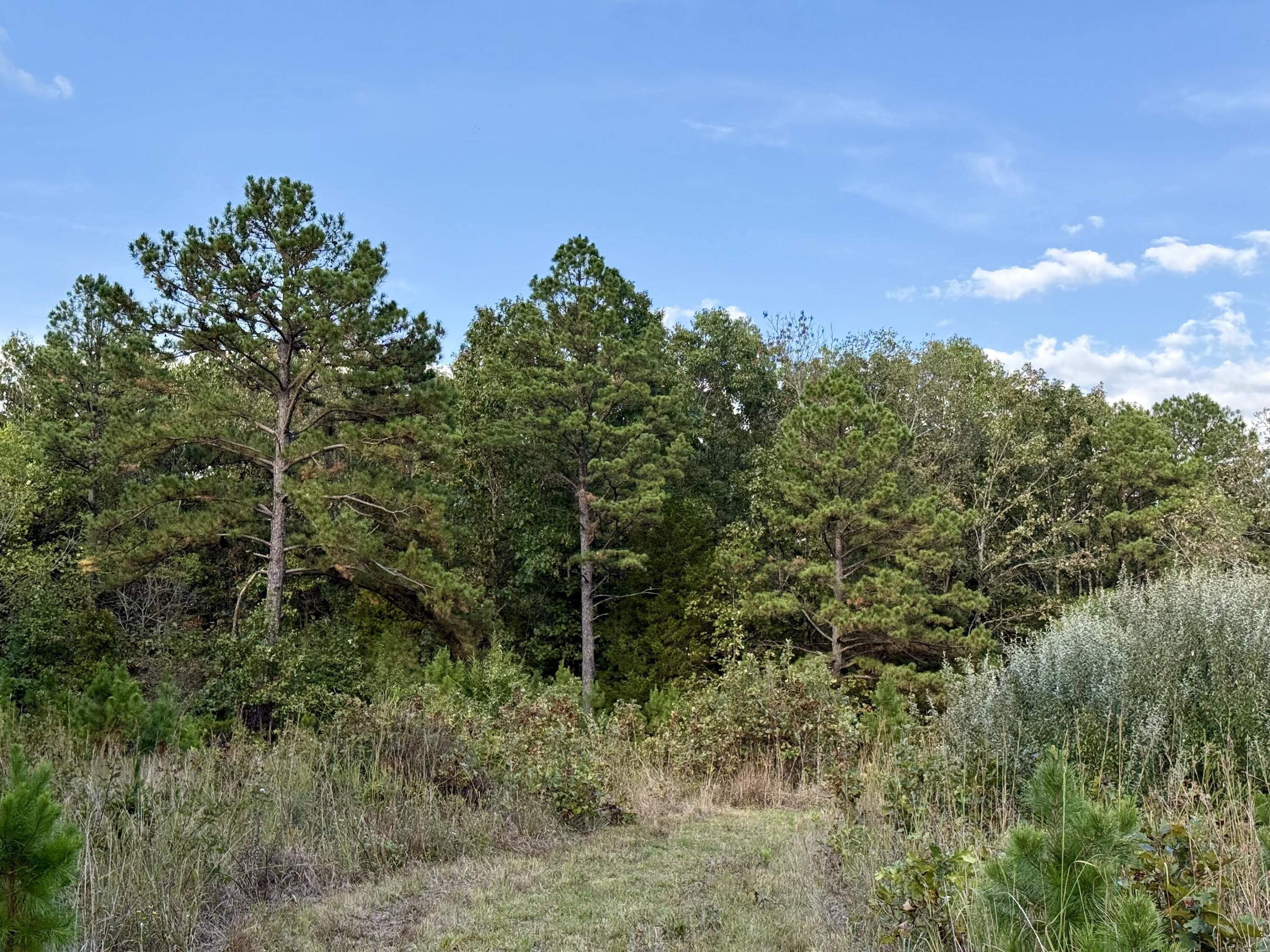 15306 Bucyrus Drive Property Photo 60