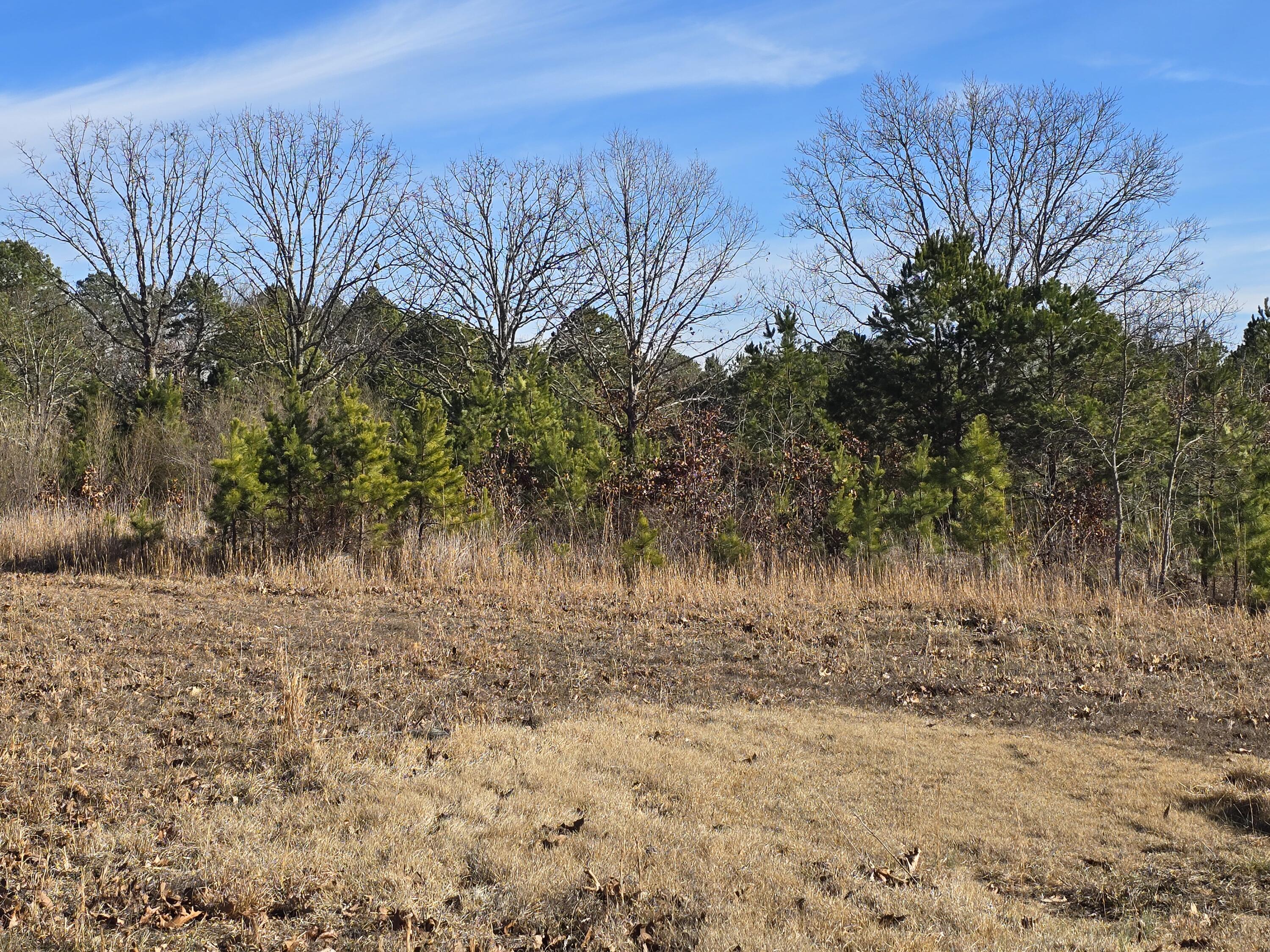 15306 Bucyrus Drive Property Photo 61