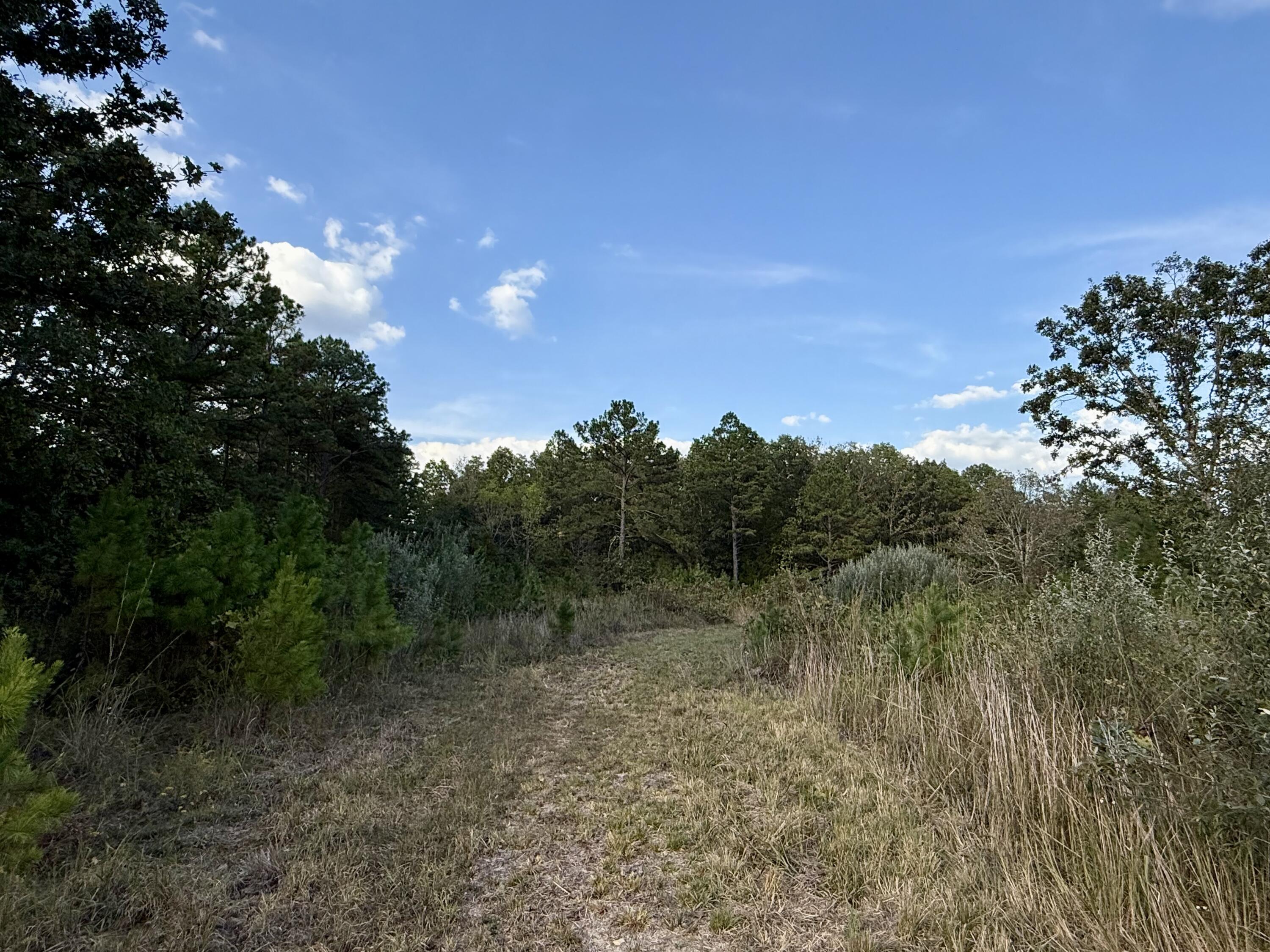 15306 Bucyrus Drive Property Photo 62
