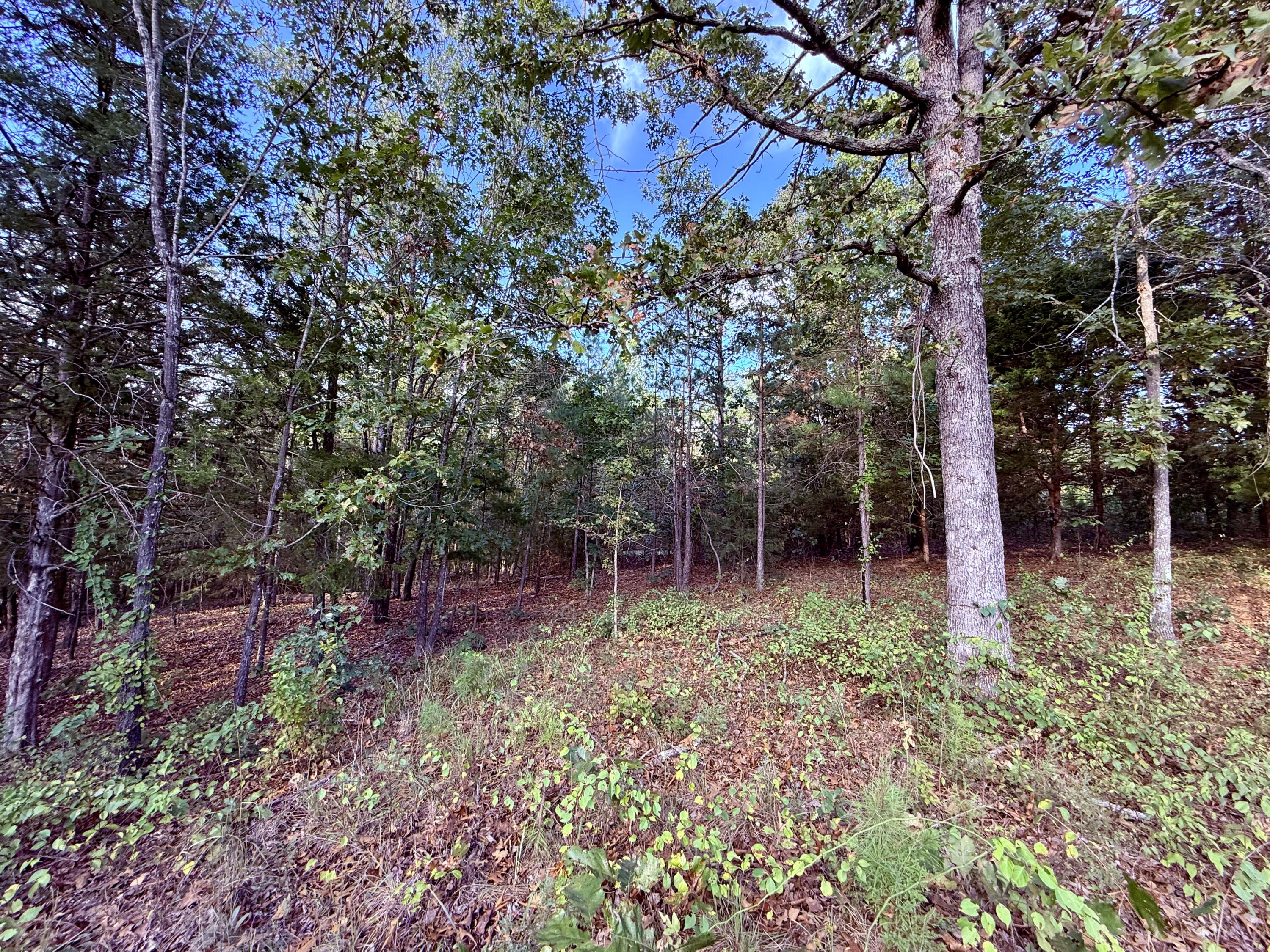 15306 Bucyrus Drive Property Photo 63