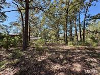 9641 Crane Drive Property Photo 10