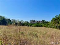 9641 Crane Drive Property Photo 12