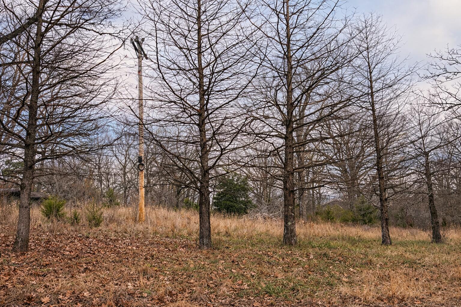 000 Acres Road Property Photo 1