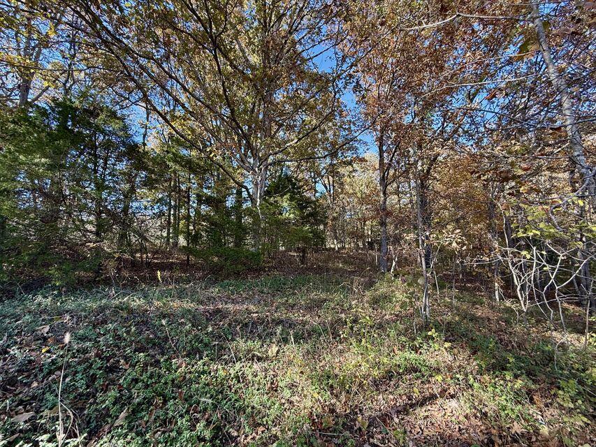 000 Hwy 63 Property Photo 8