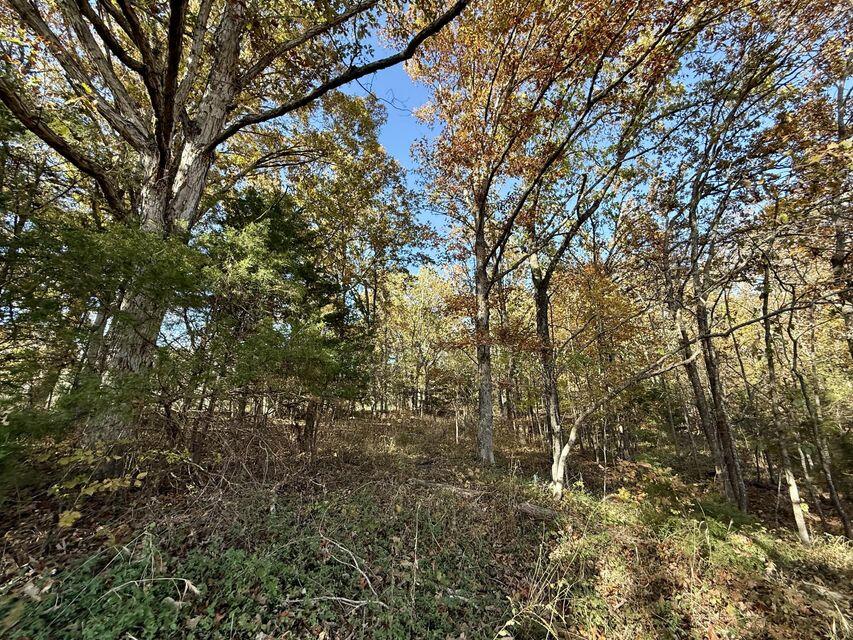 000 Hwy 63 Property Photo 9