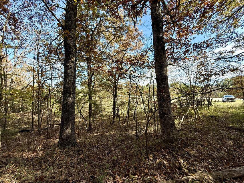 000 Hwy 63 Property Photo 10