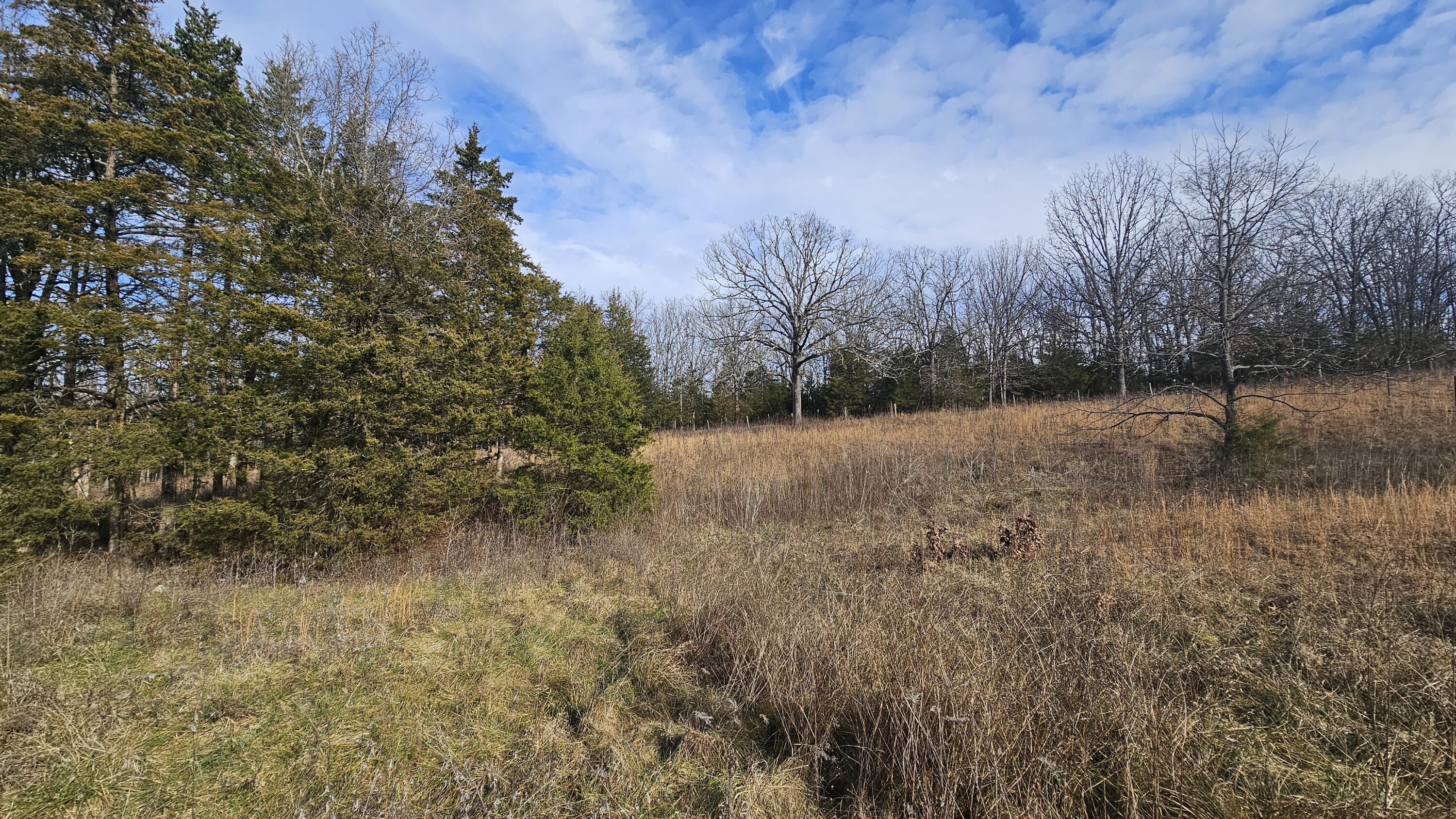 7740 Murr Road Property Photo 31