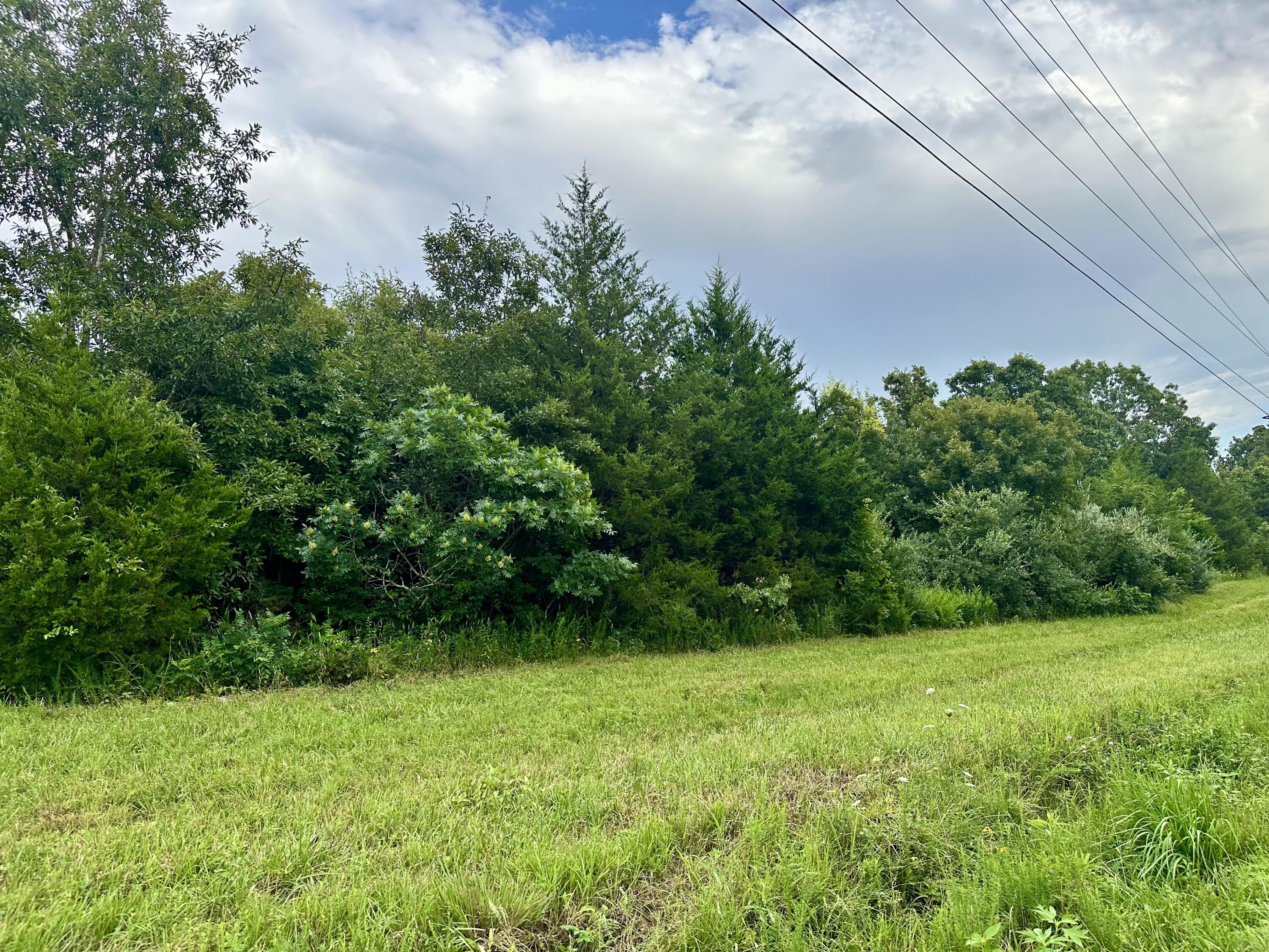 000 Co Rd 4180 Lot 1 Property Photo 3