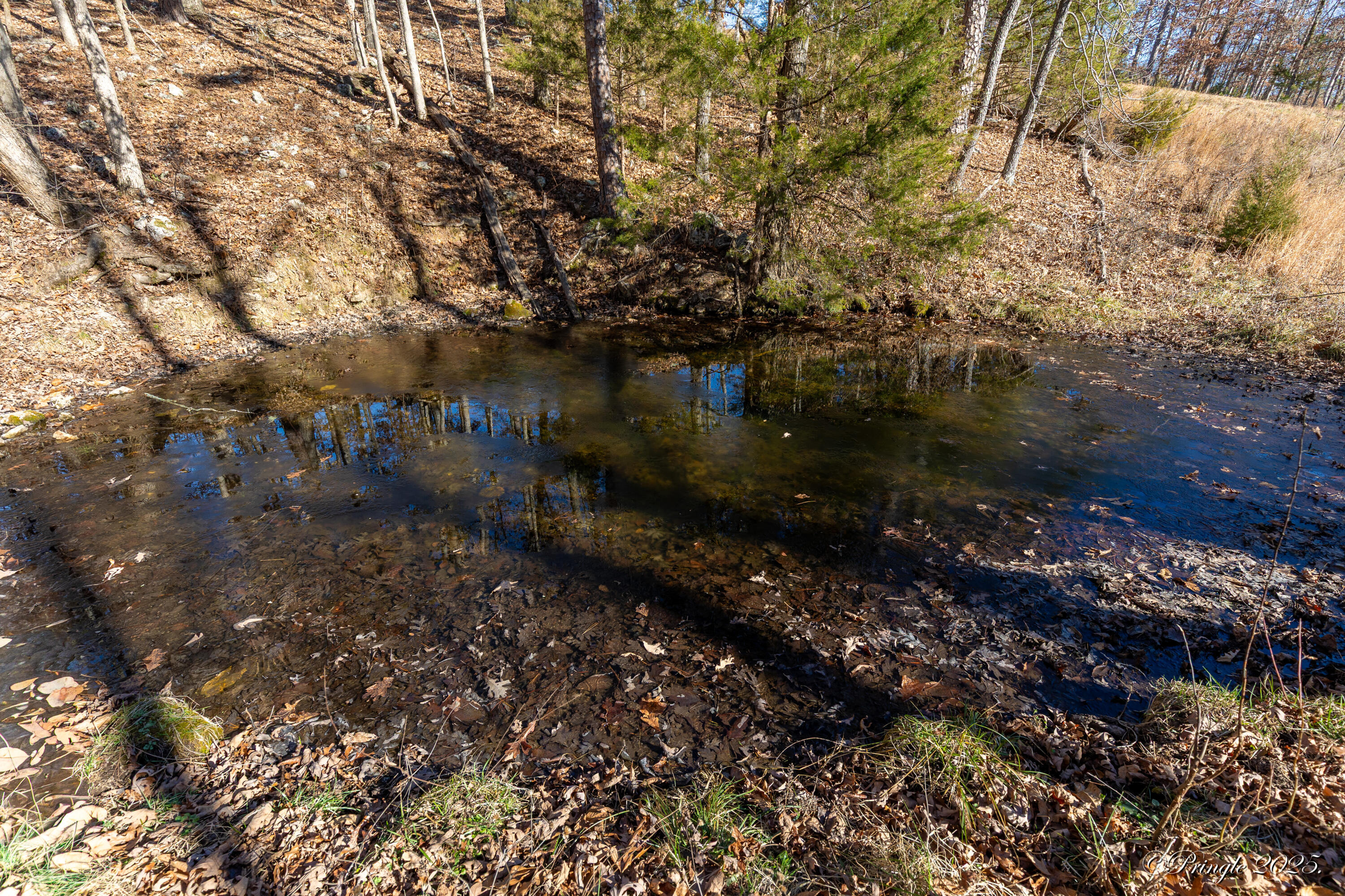 7102 State Route Mm Property Photo 4