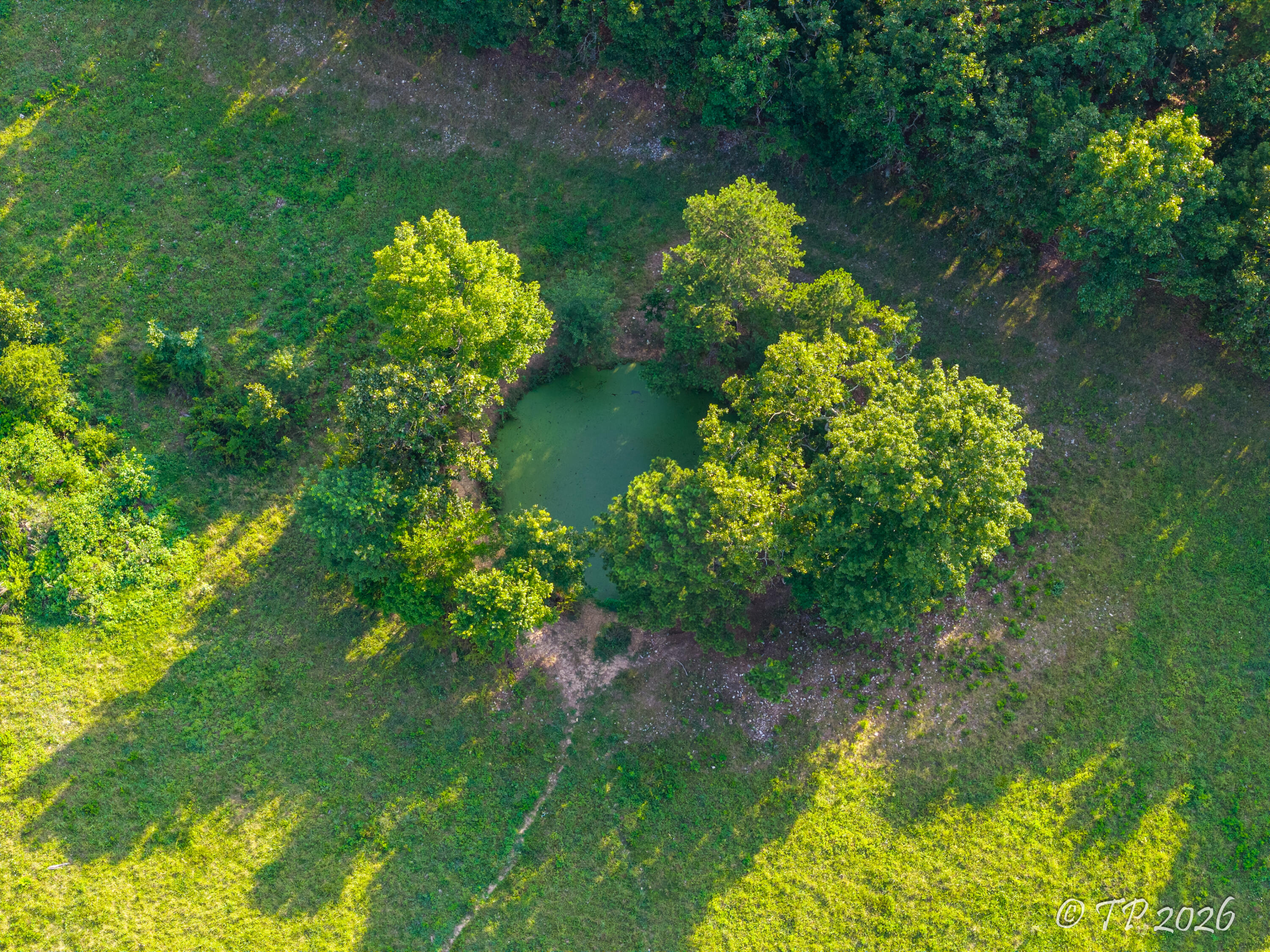 7102 State Route Mm Property Photo 14