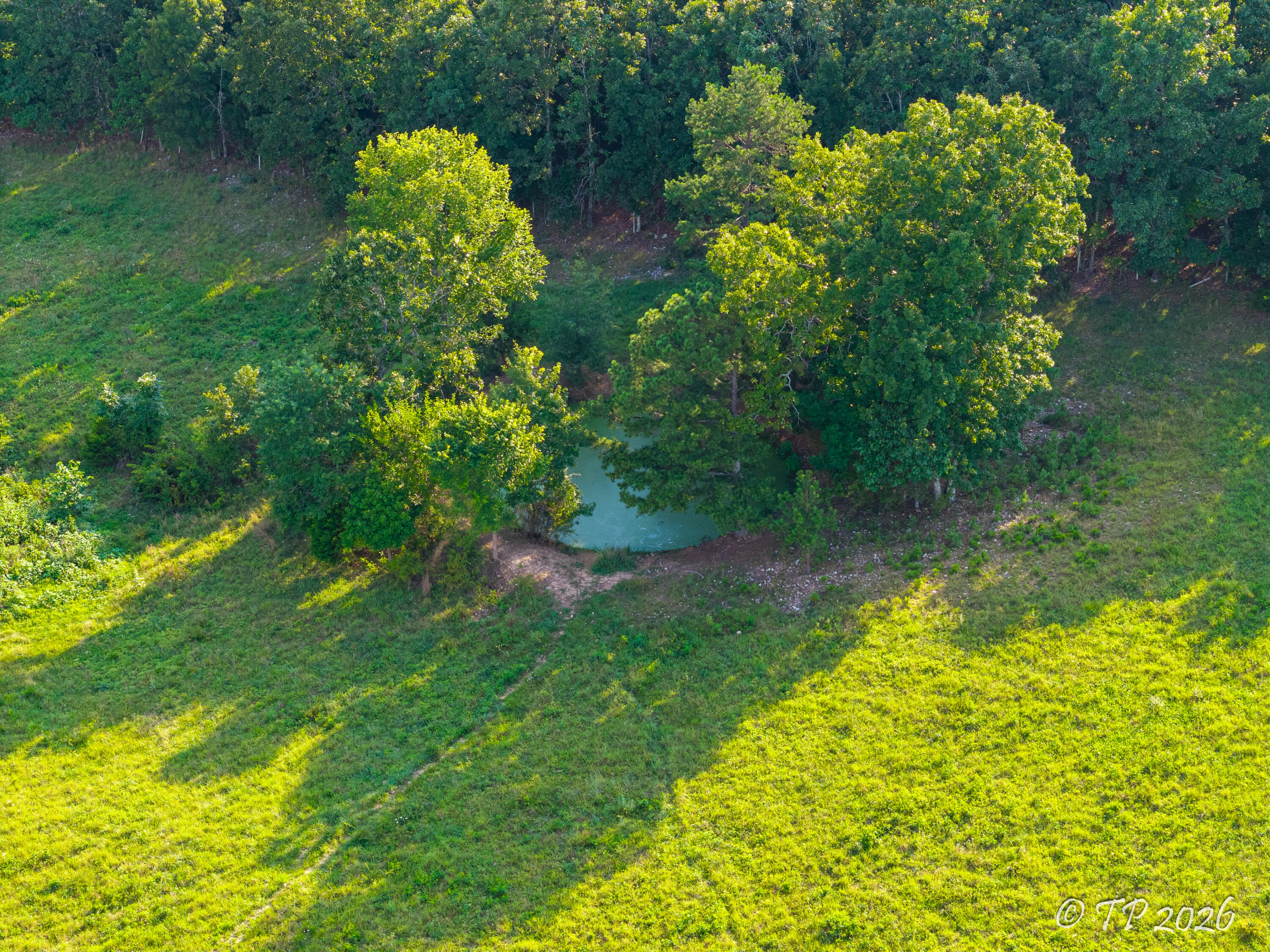 7102 State Route Mm Property Photo 23