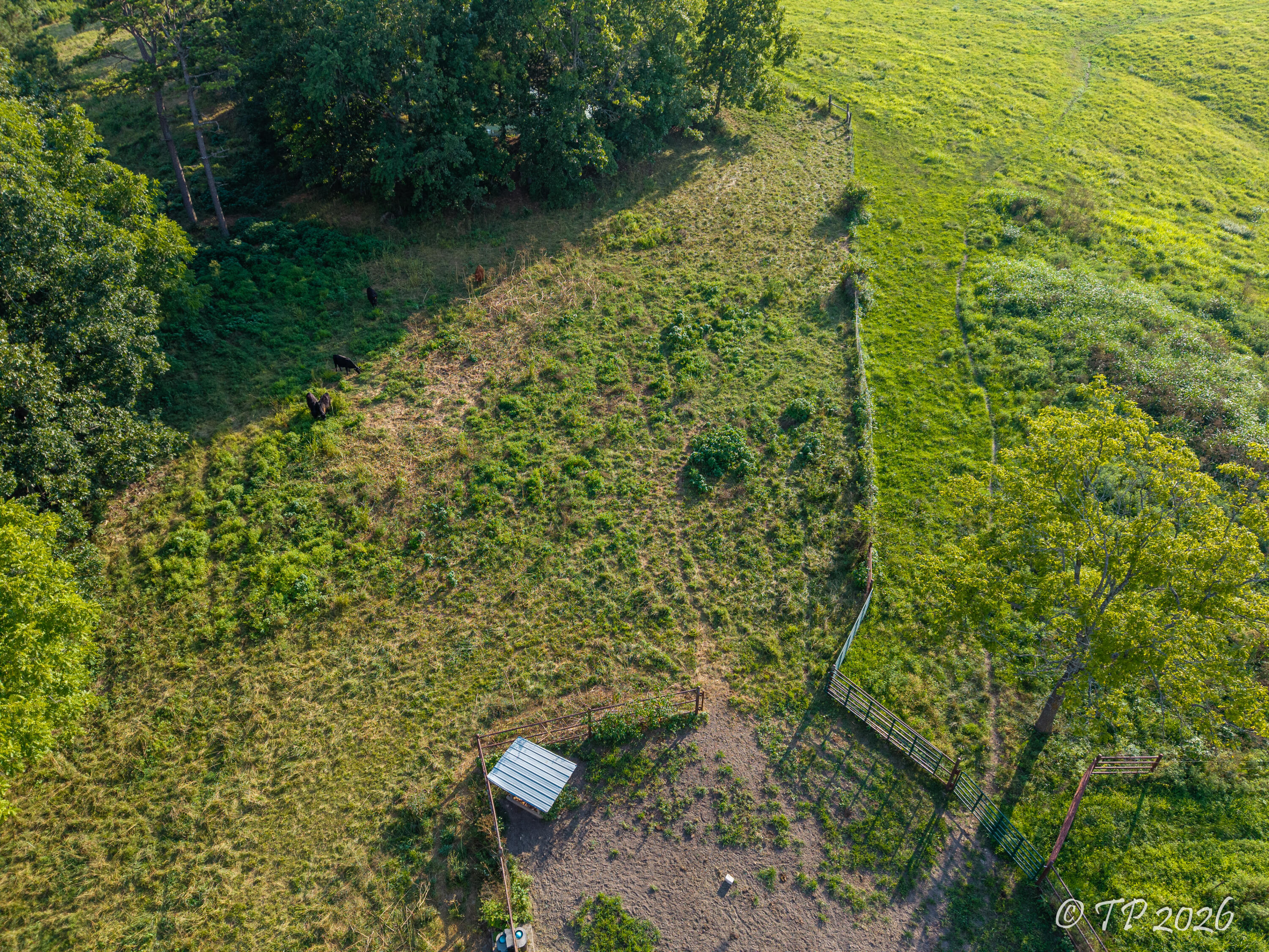 7102 State Route Mm Property Photo 24