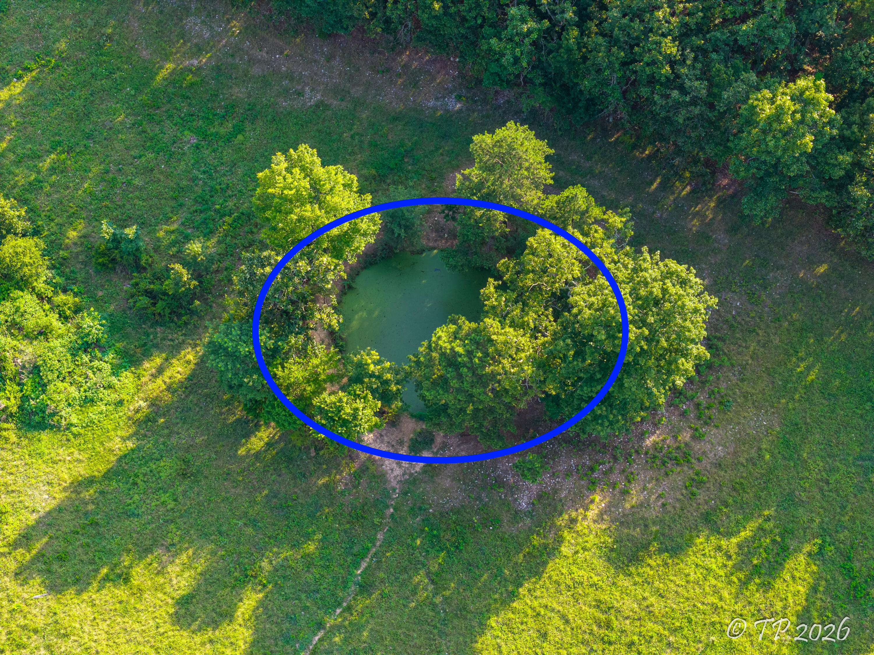 7102 State Route Mm Property Photo 27