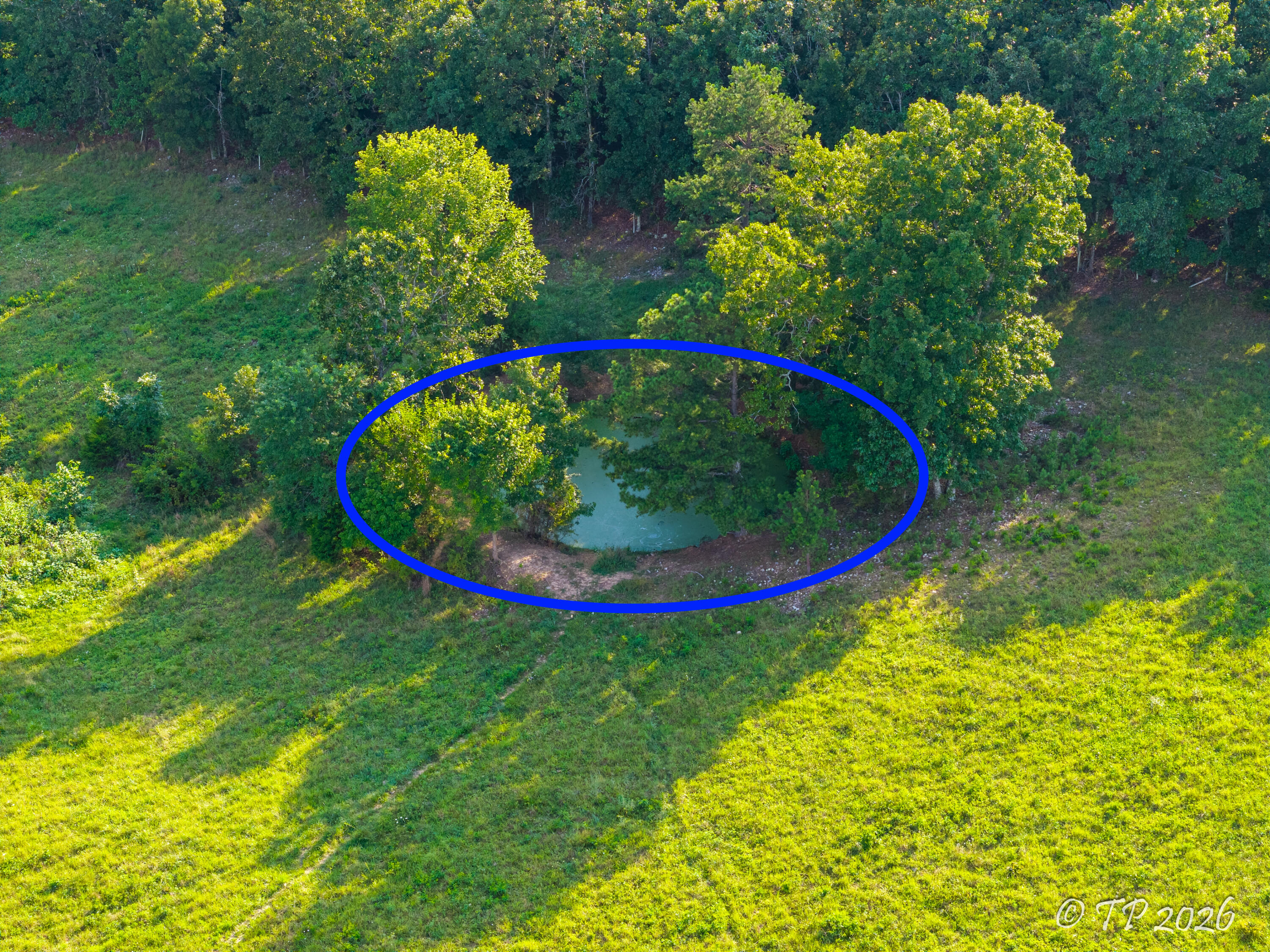 7102 State Route Mm Property Photo 30