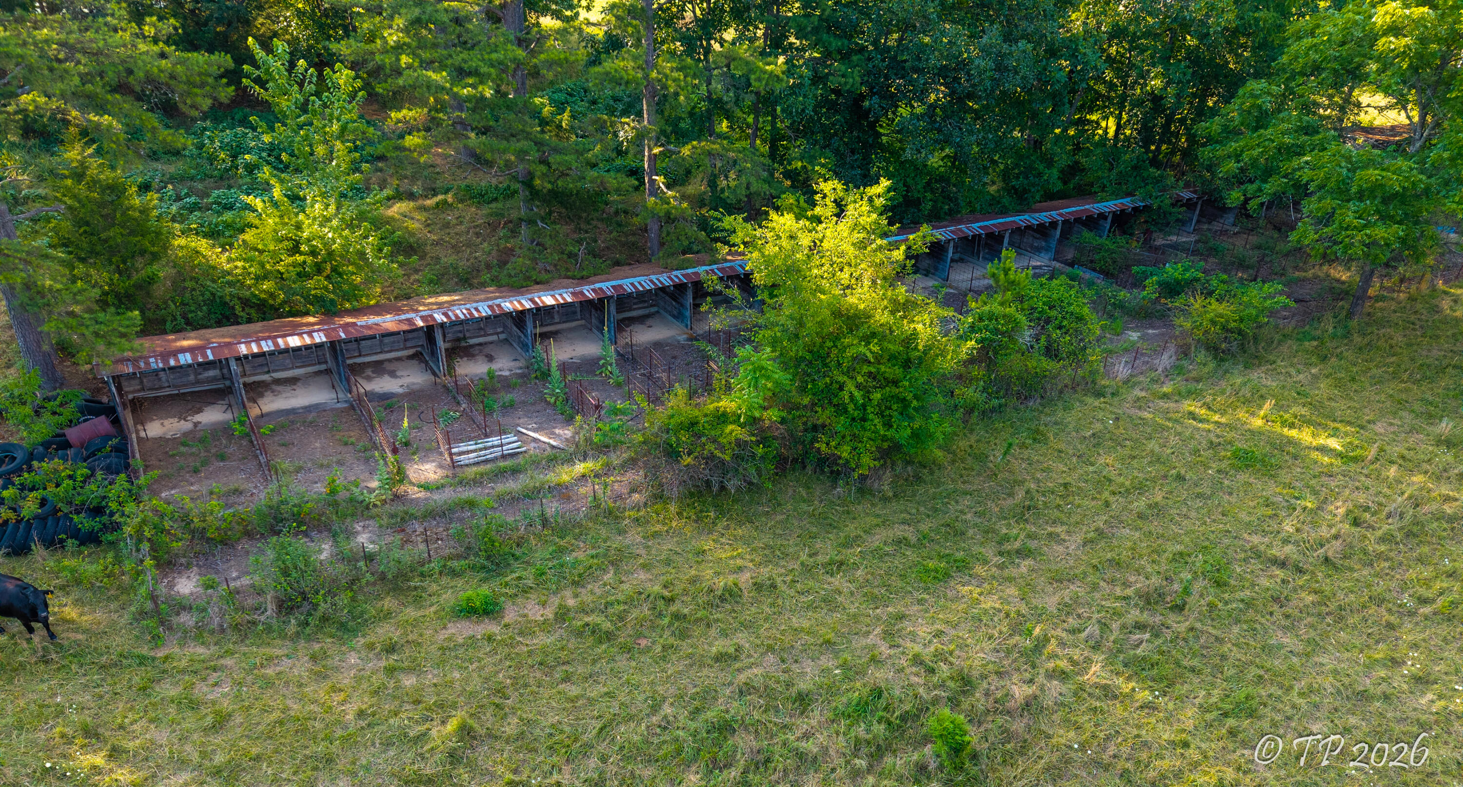 7102 State Route Mm Property Photo 39