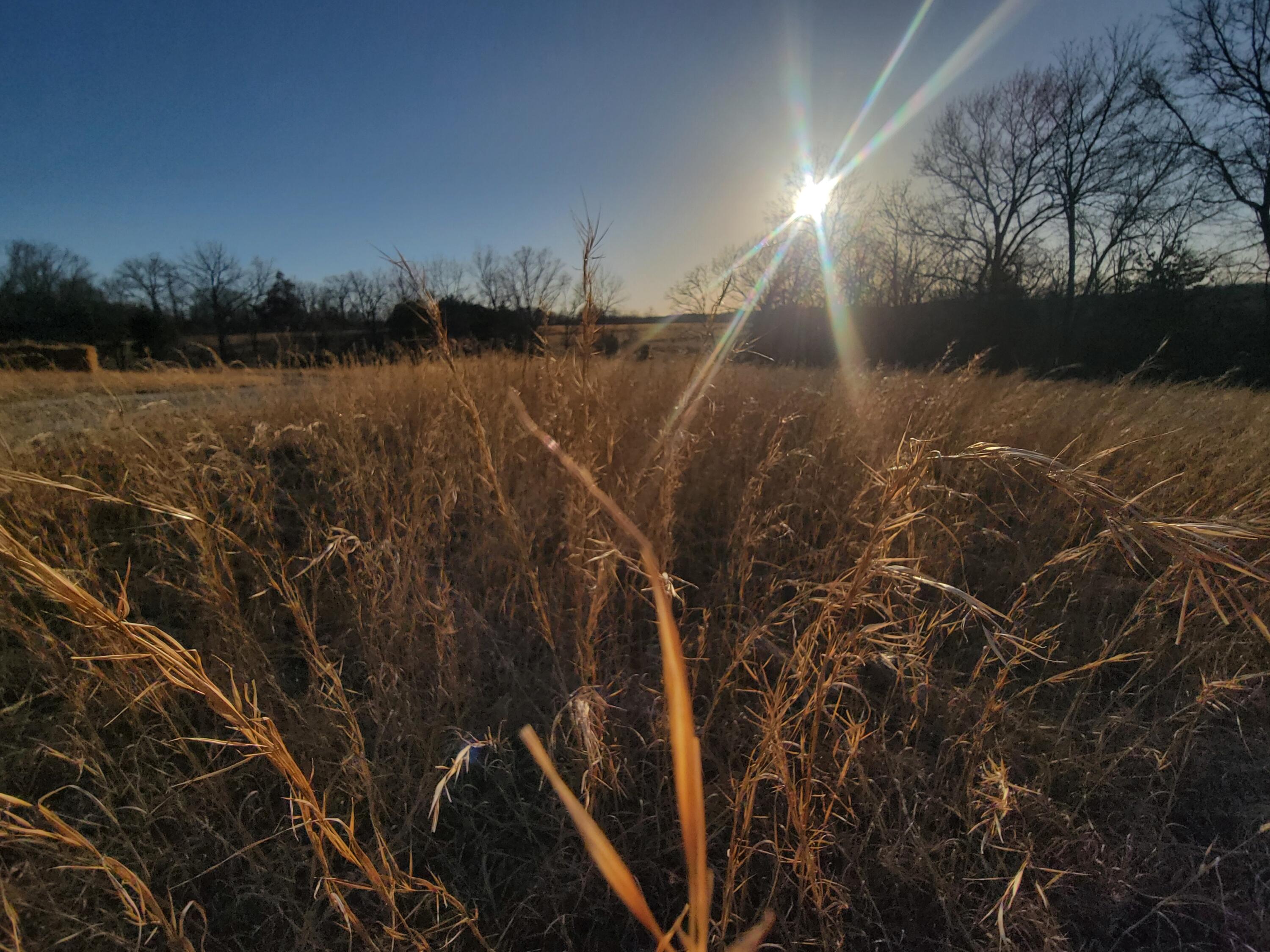 13342 Prairie Creek Property Photo 38
