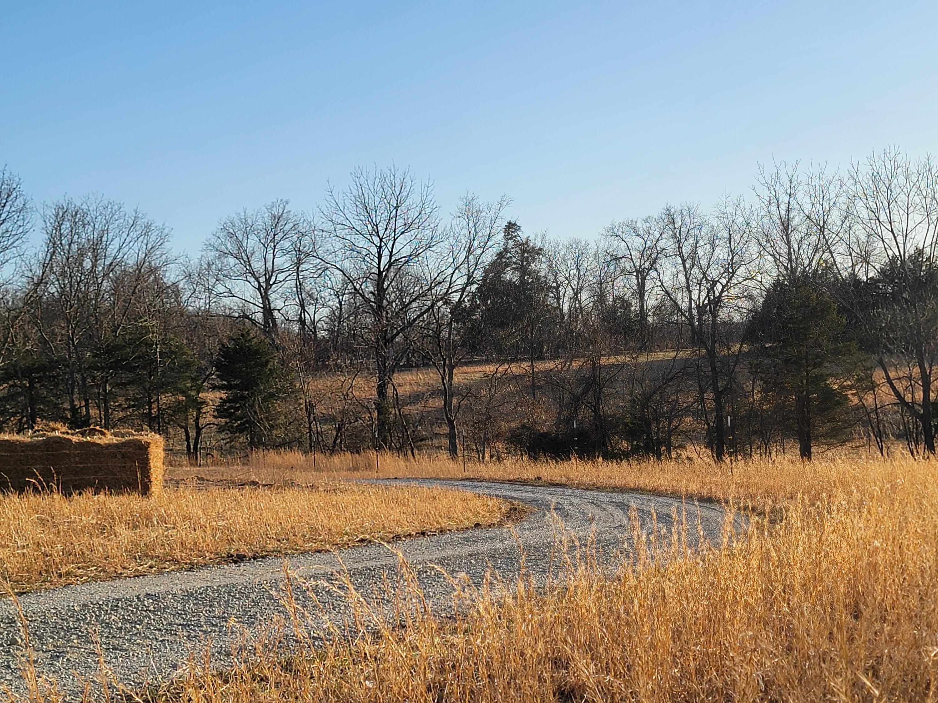 13342 Prairie Creek Property Photo 49