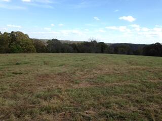 Tbd State Highway Aa Property Photo 3