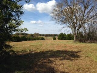 Tbd State Highway Aa Property Photo 4