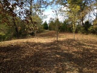 Tbd State Highway Aa Property Photo 5