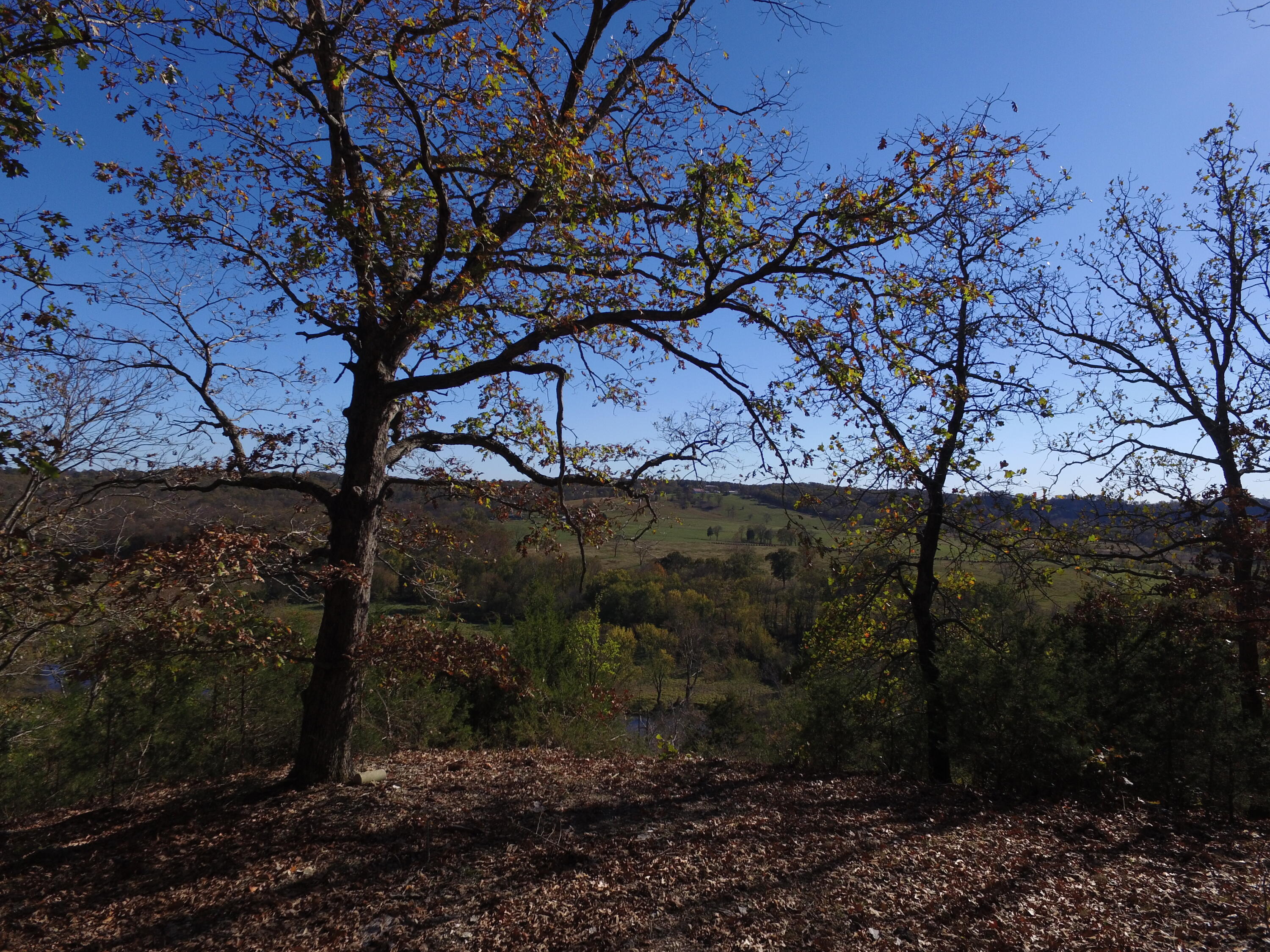 Tbd State Highway Aa Property Photo 6