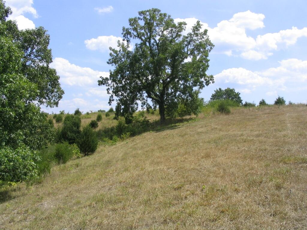 Tbd State Highway Aa Property Photo 7