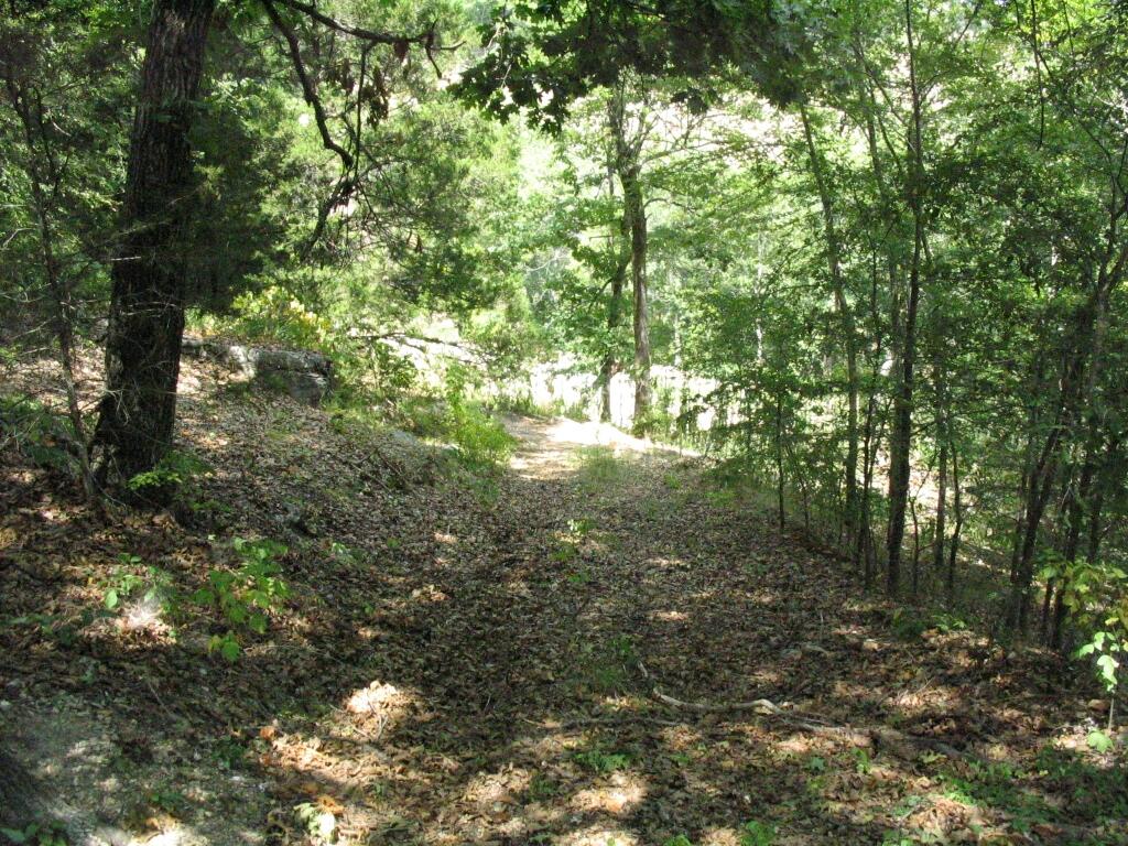 Tbd State Highway Aa Property Photo 9