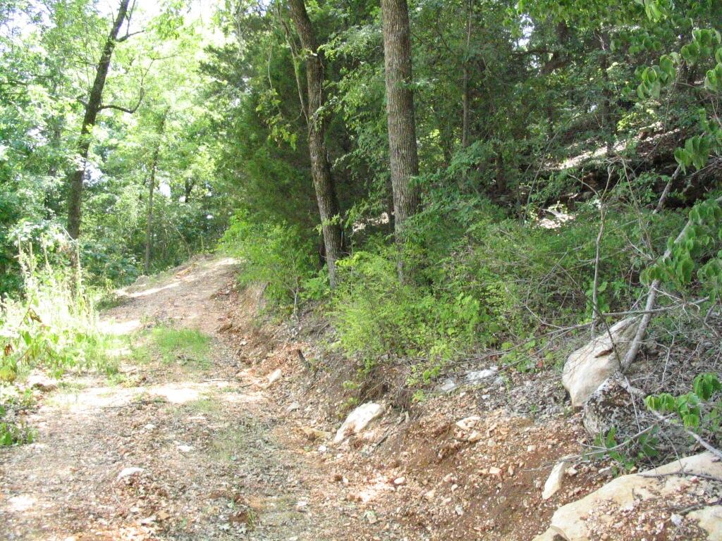 Tbd State Highway Aa Property Photo 10