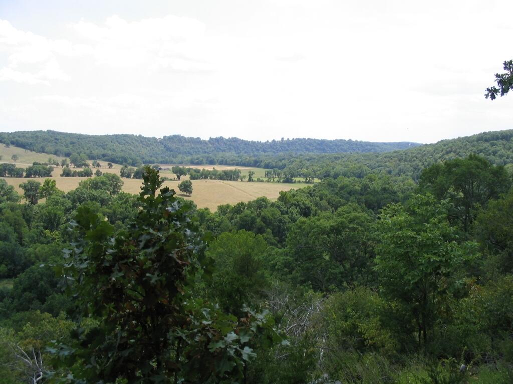 Tbd State Highway Aa Property Photo 13
