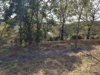 Tbd State Highway Aa Property Photo 14