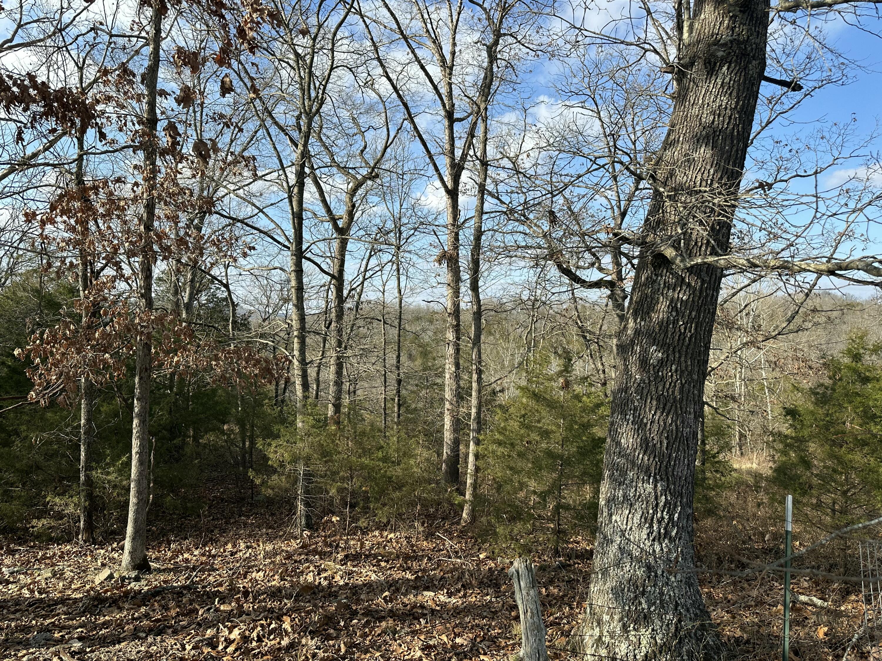 7565 State Highway 176 Property Photo 25