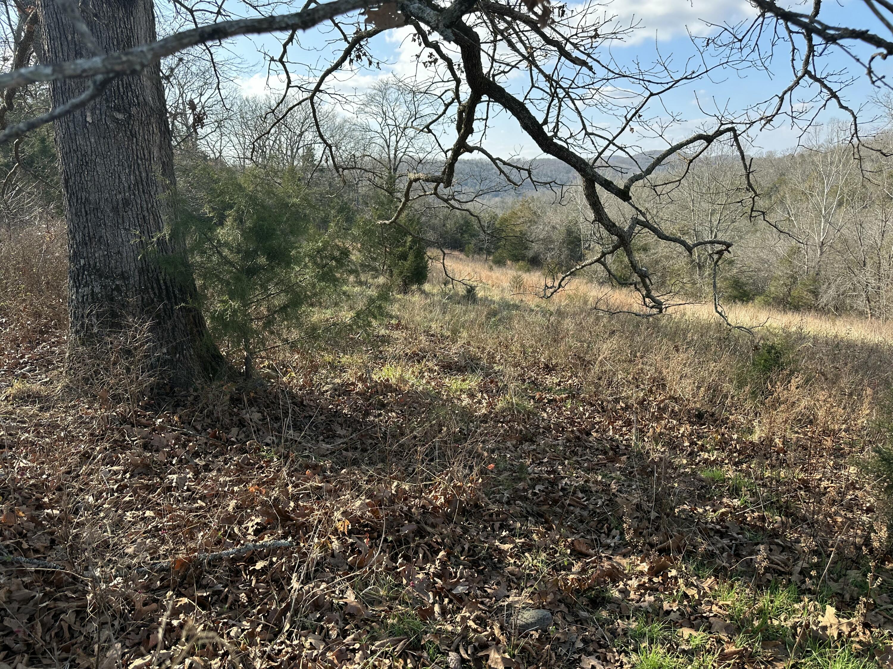 7565 State Highway 176 Property Photo 45