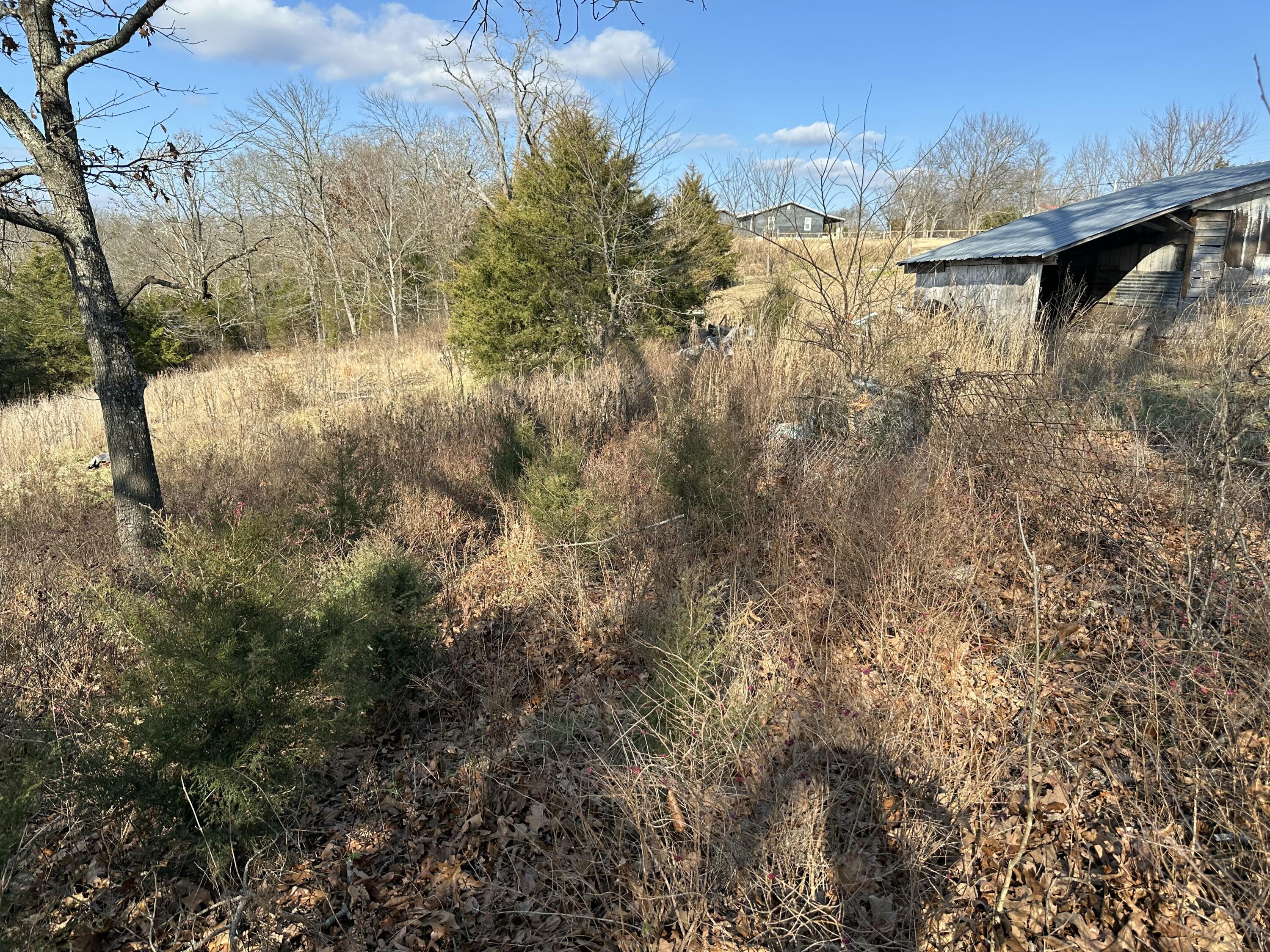 7565 State Highway 176 Property Photo 46