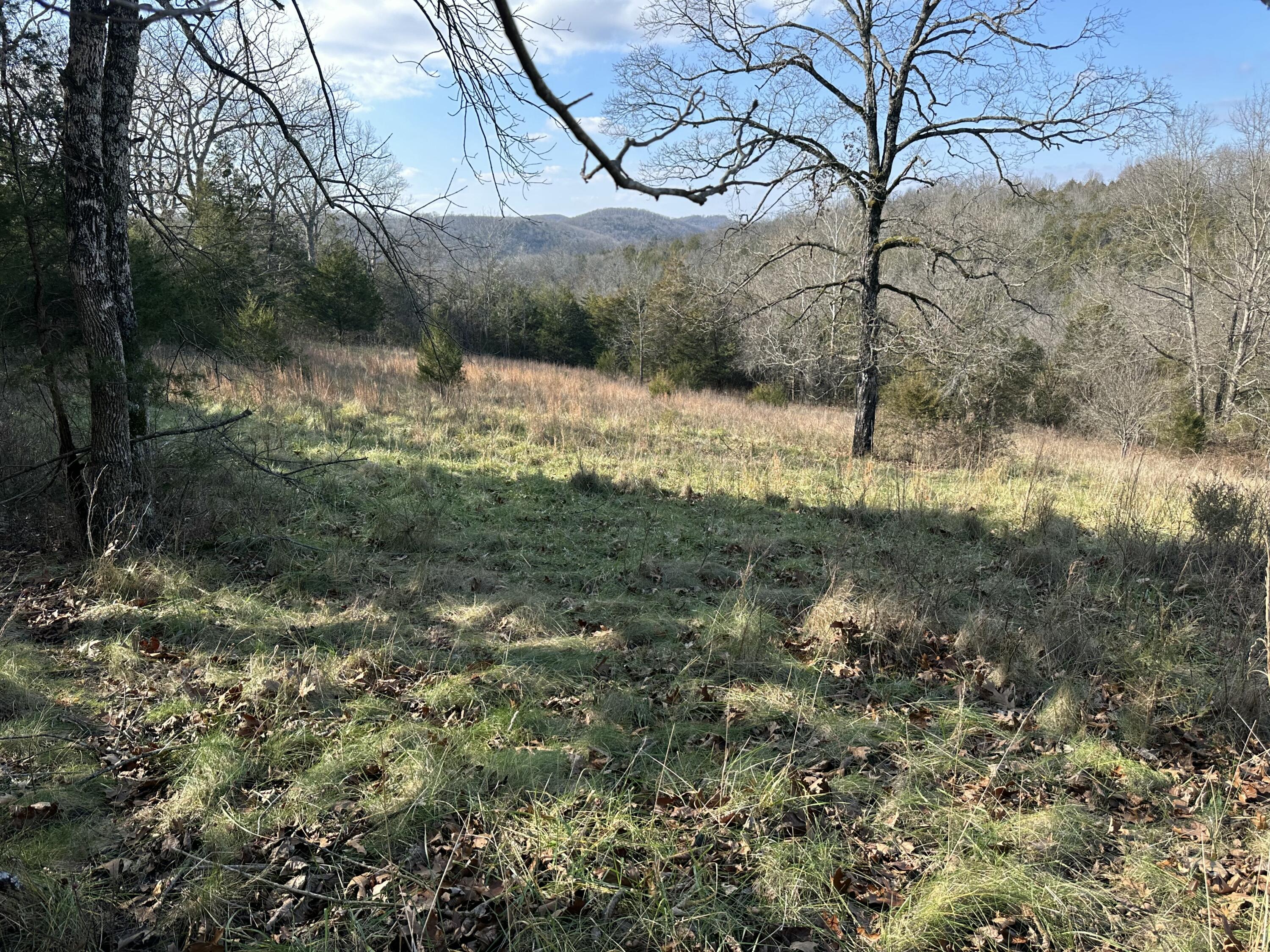 7565 State Highway 176 Property Photo 47