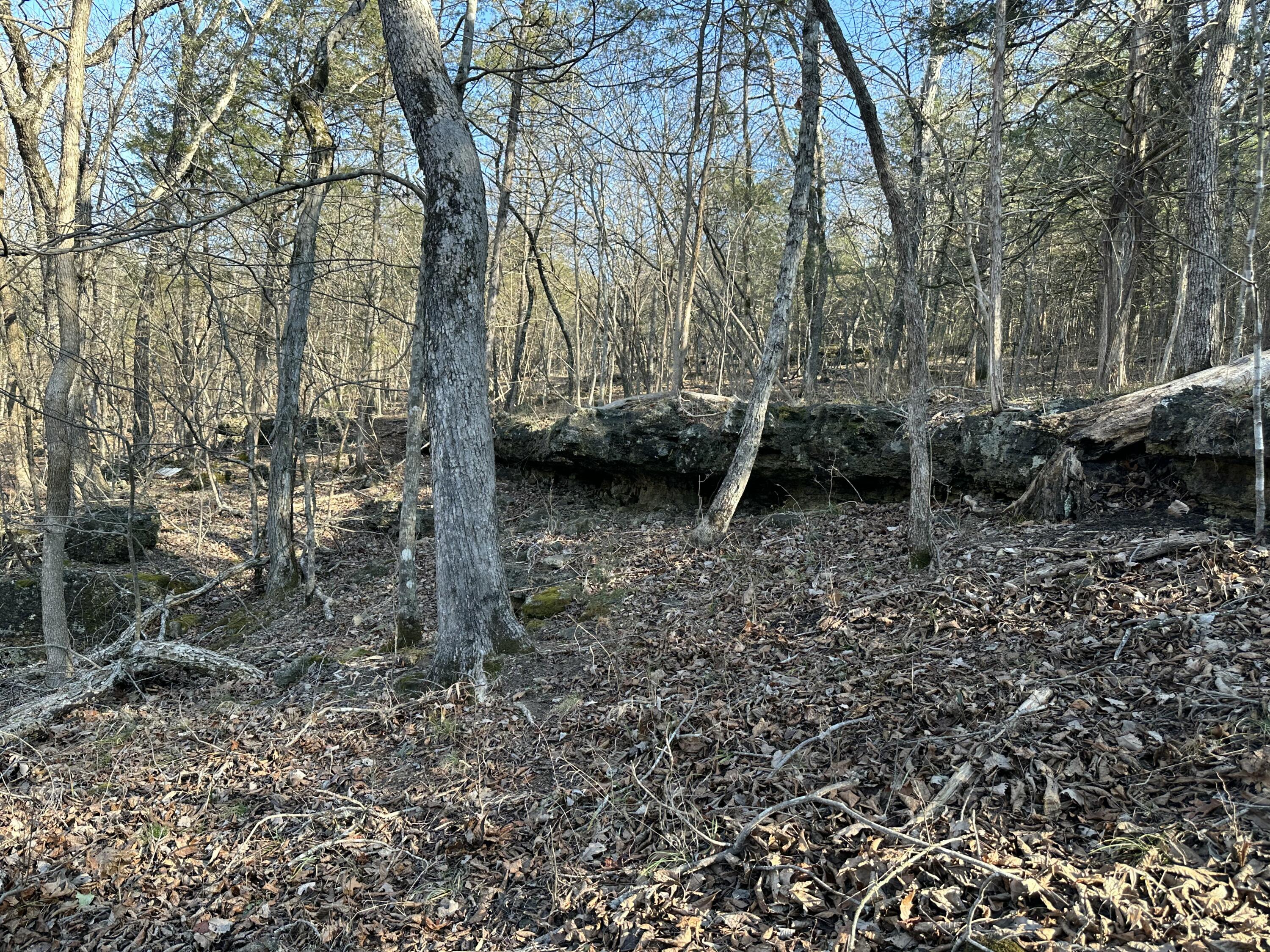 7565 State Highway 176 Property Photo 52