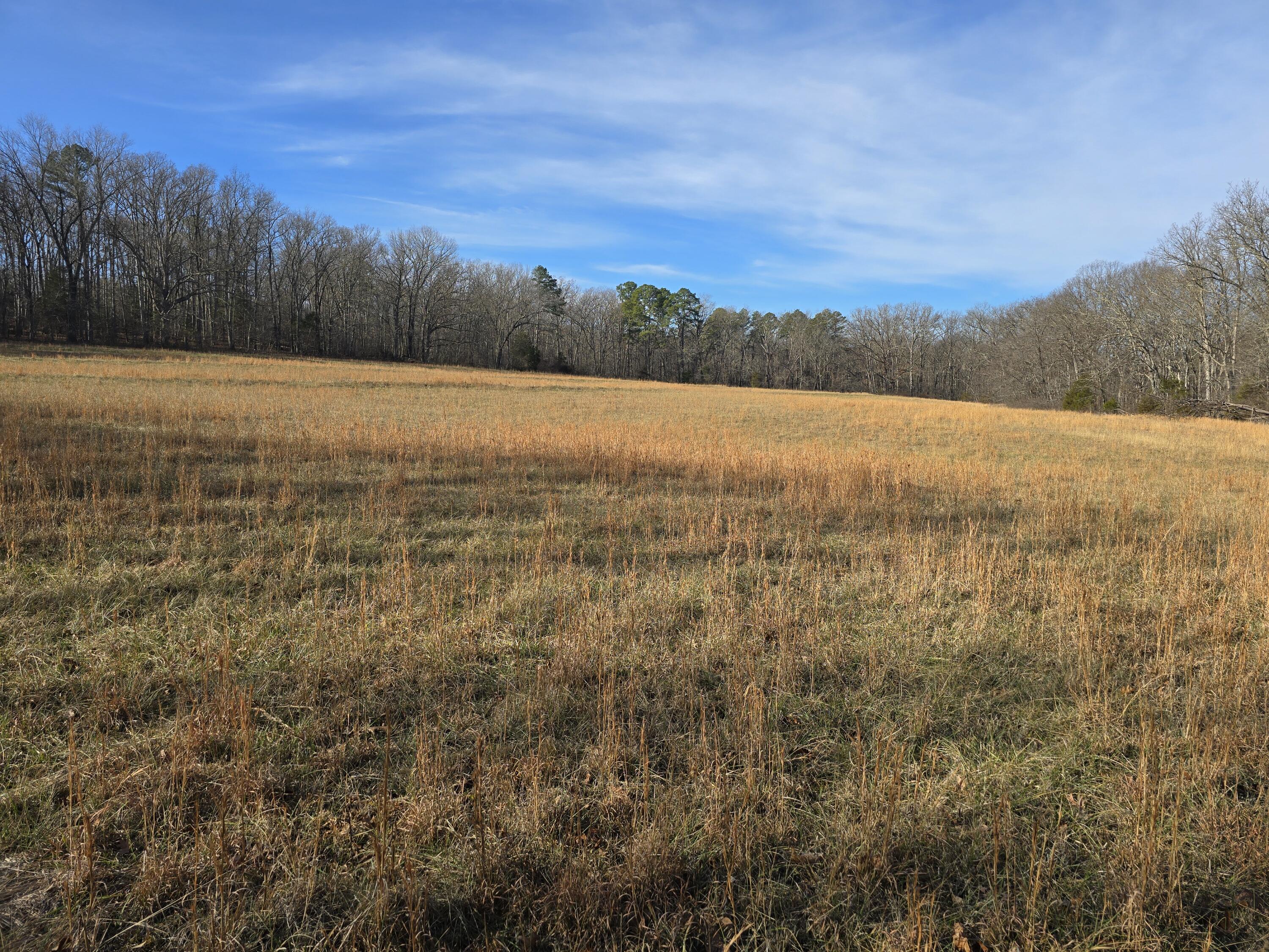 000 Airport Road Property Photo 4