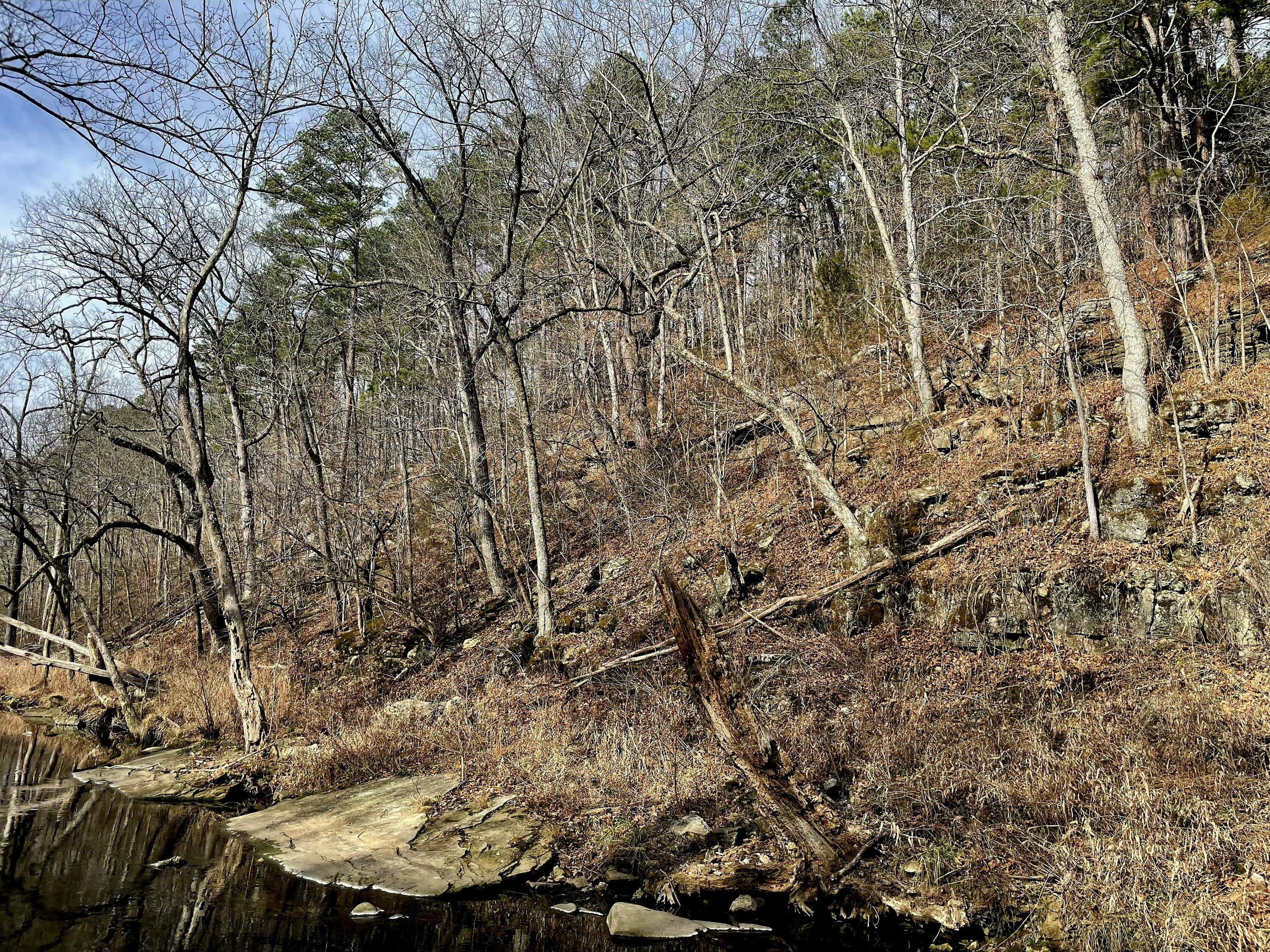 000 Airport Road Property Photo 13
