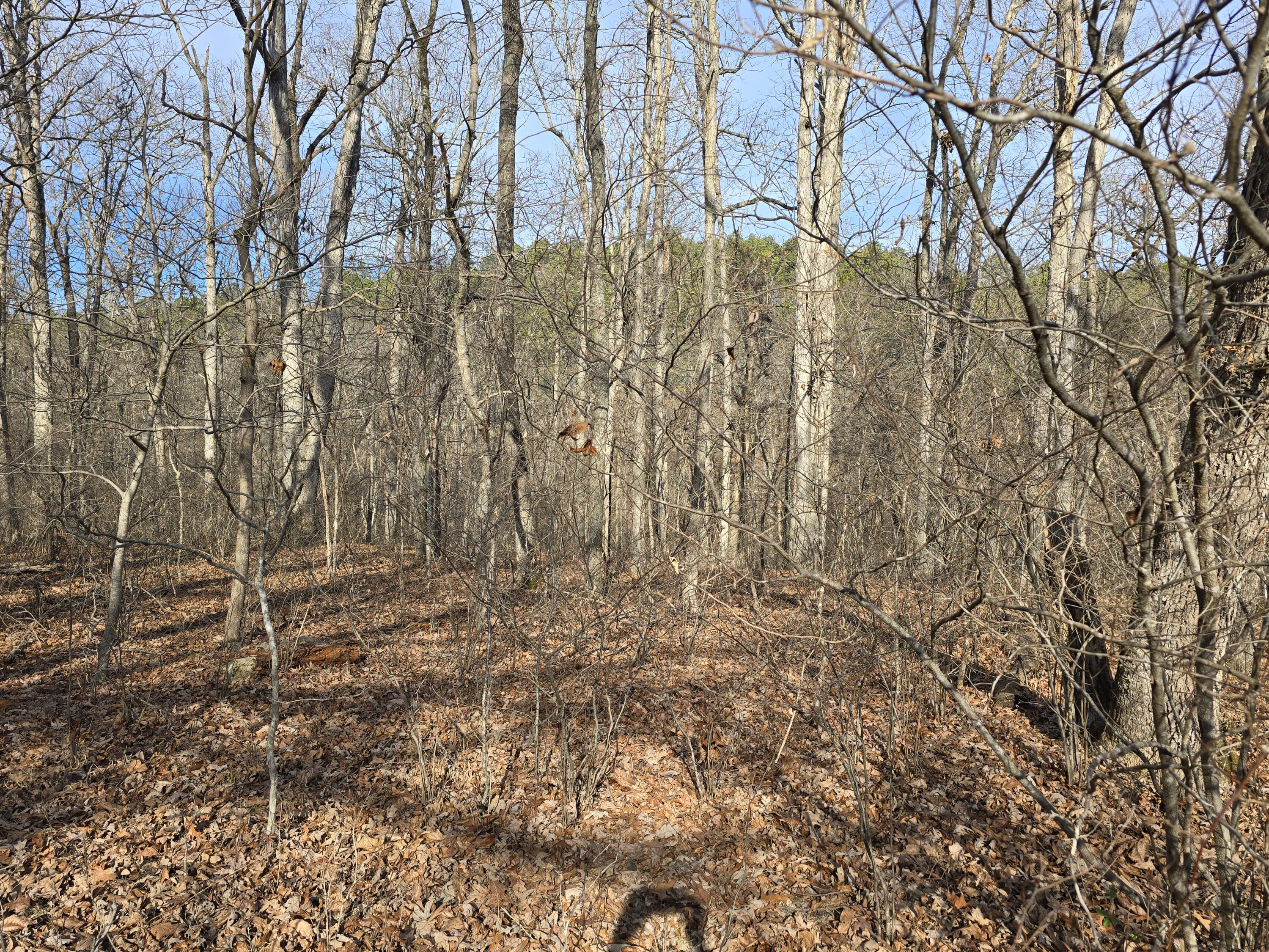 000 Airport Road Property Photo 17