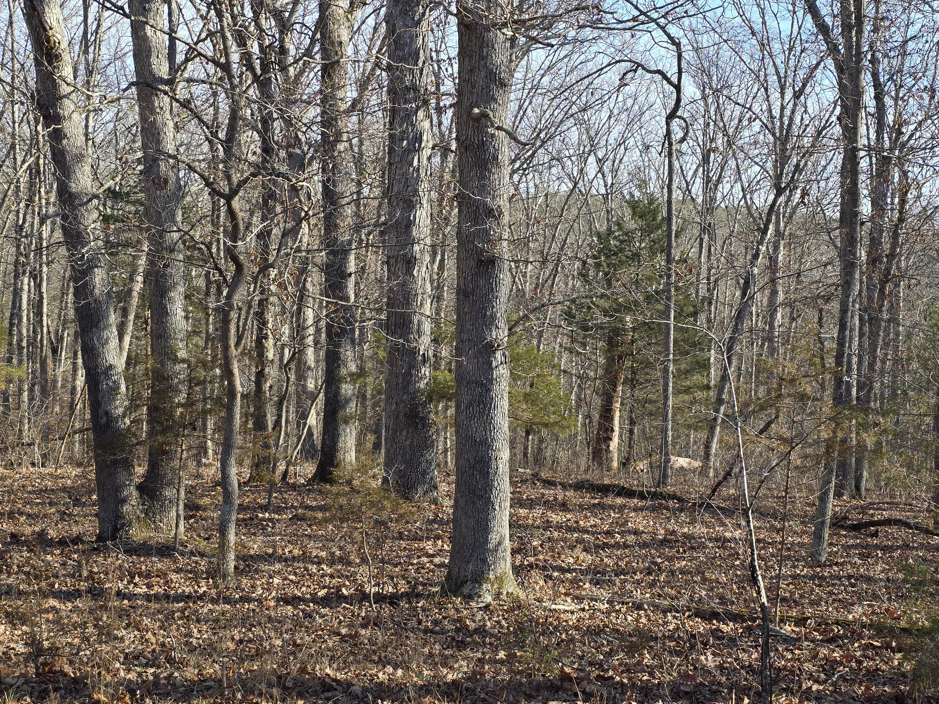000 Airport Road Property Photo 20